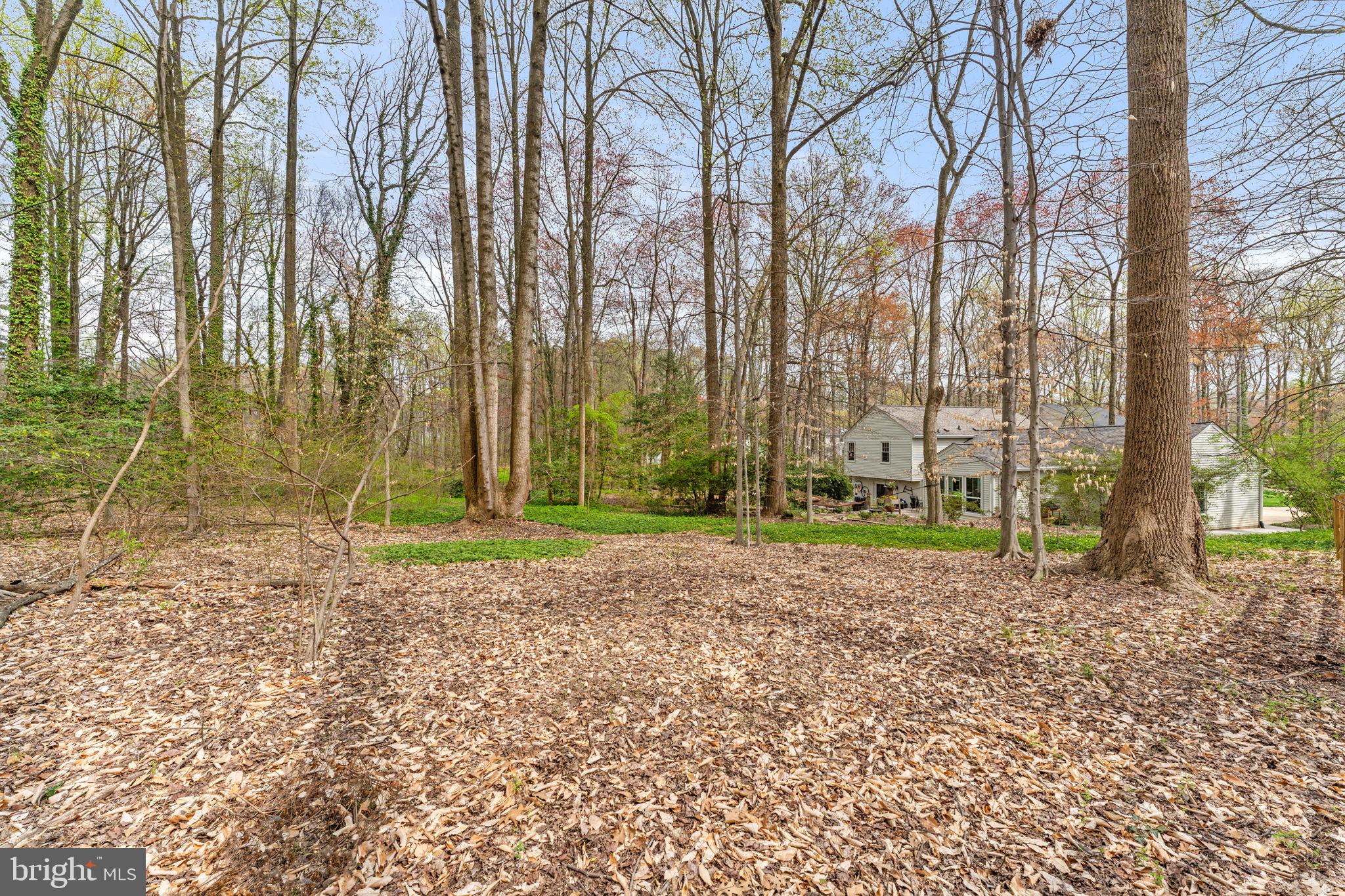 LAKE BRADDOCK - Residential