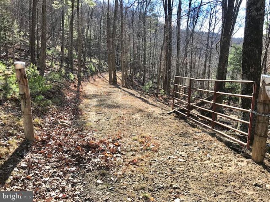 557.7 Acres Raw Land joining National Forest. Roads throughout with good 4x4 access. Excellent Hunting, Potential Cabin Sites w/nice views, No utilities, Watering Holes and Potential Food Plots. Maturing Timber throughout.