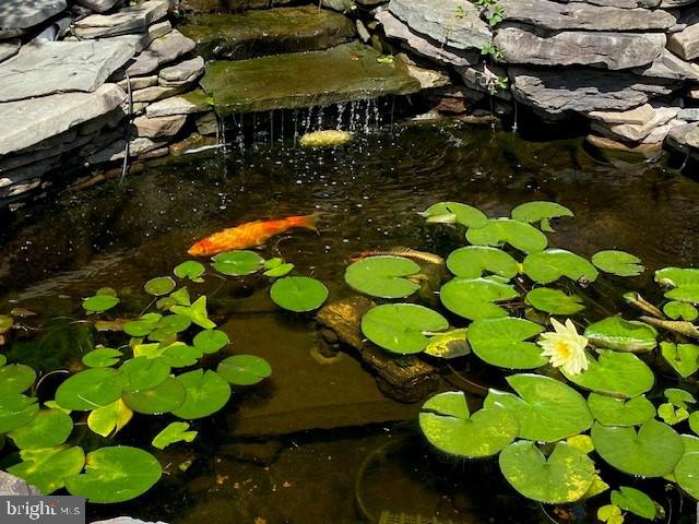 GREEN MEADOW - Residential