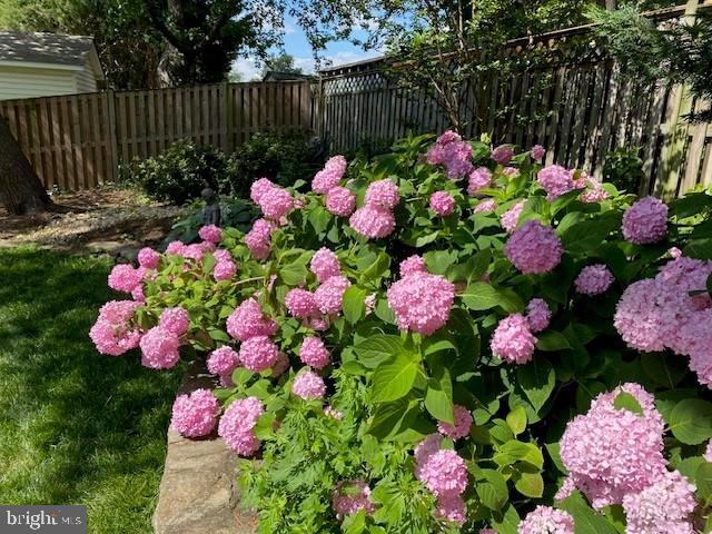 GREEN MEADOW - Residential