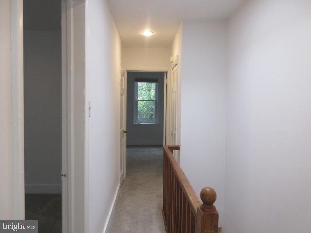 ART MUSEUM AREA - Residential