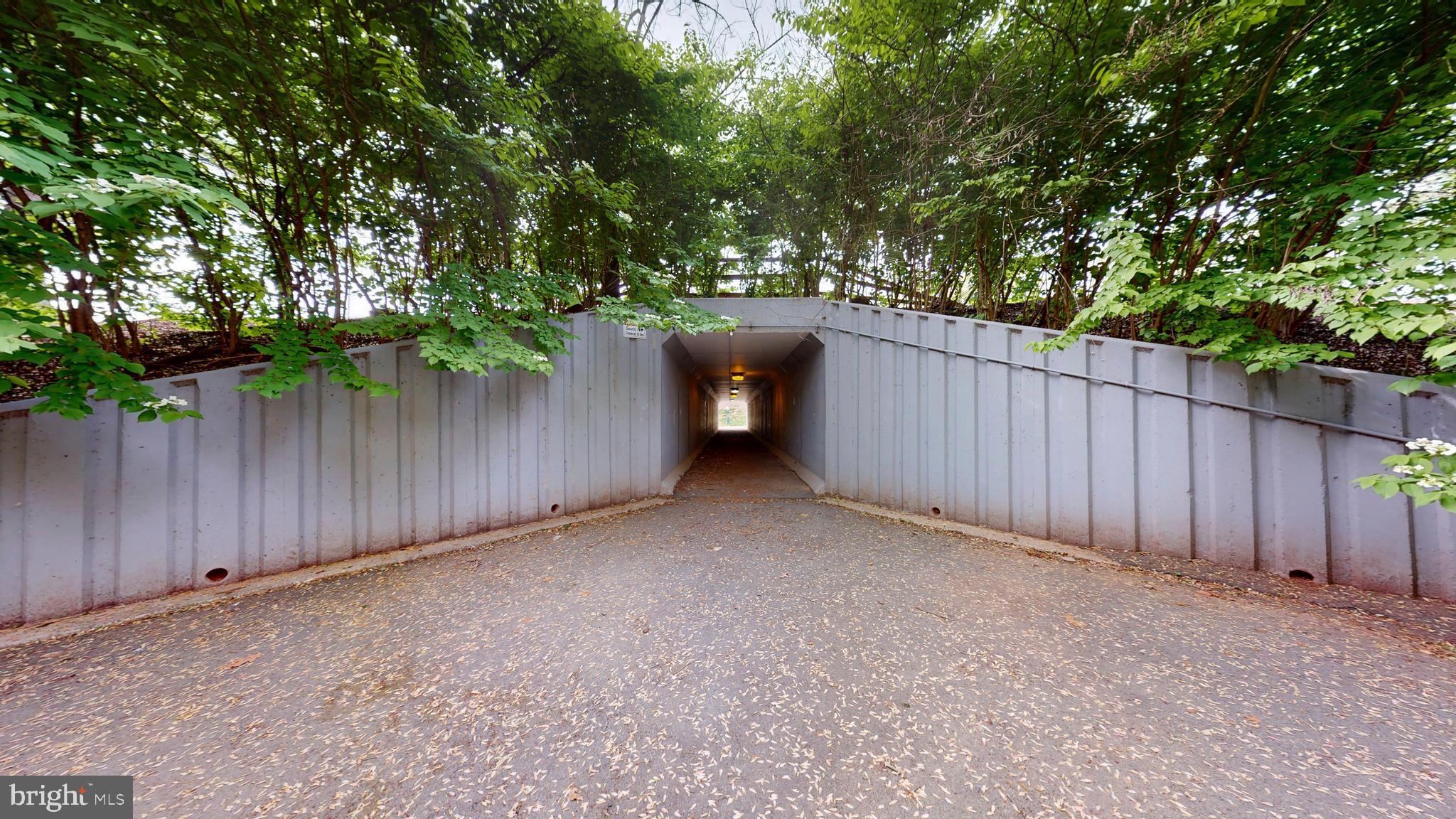 LOWES ISLAND - Residential