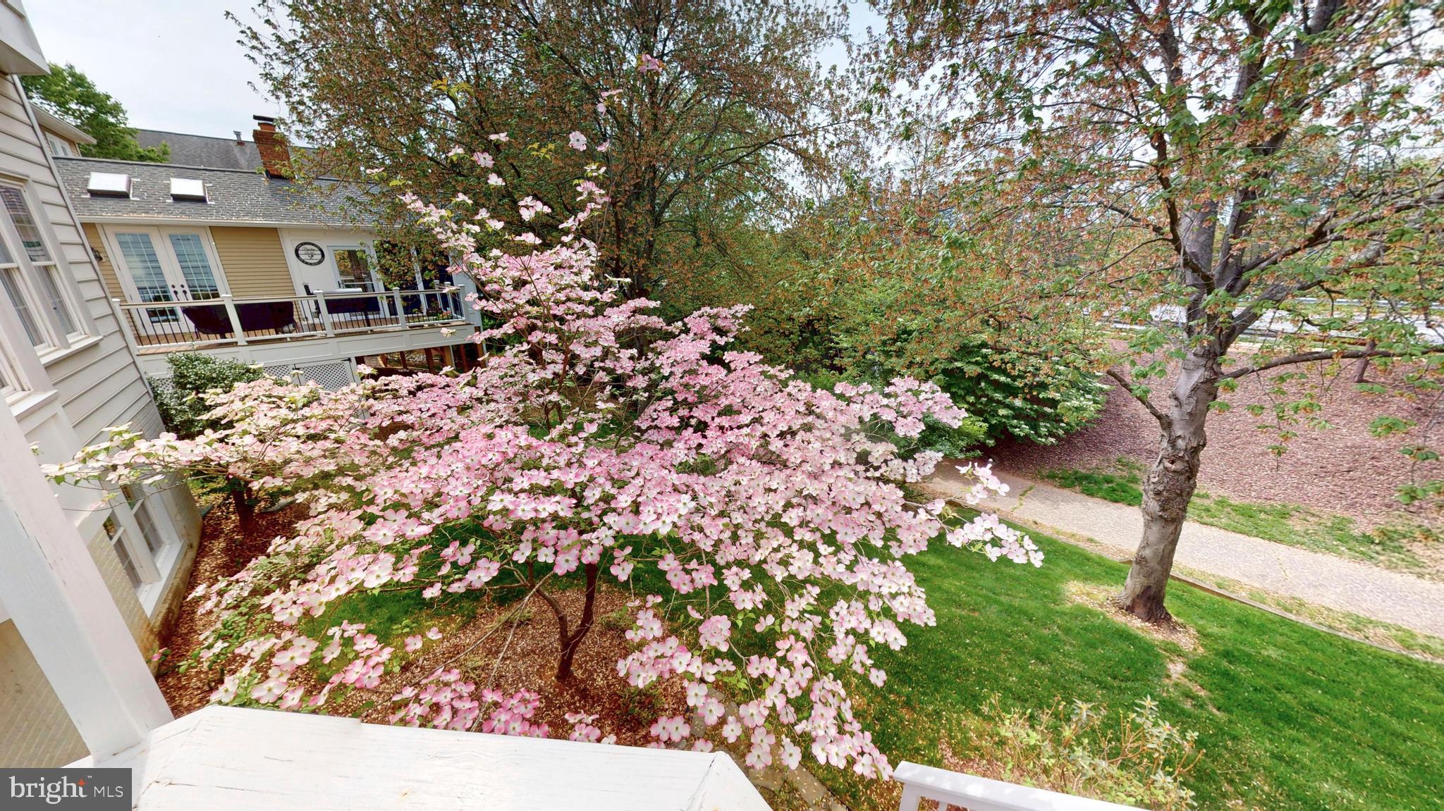 LOWES ISLAND - Residential