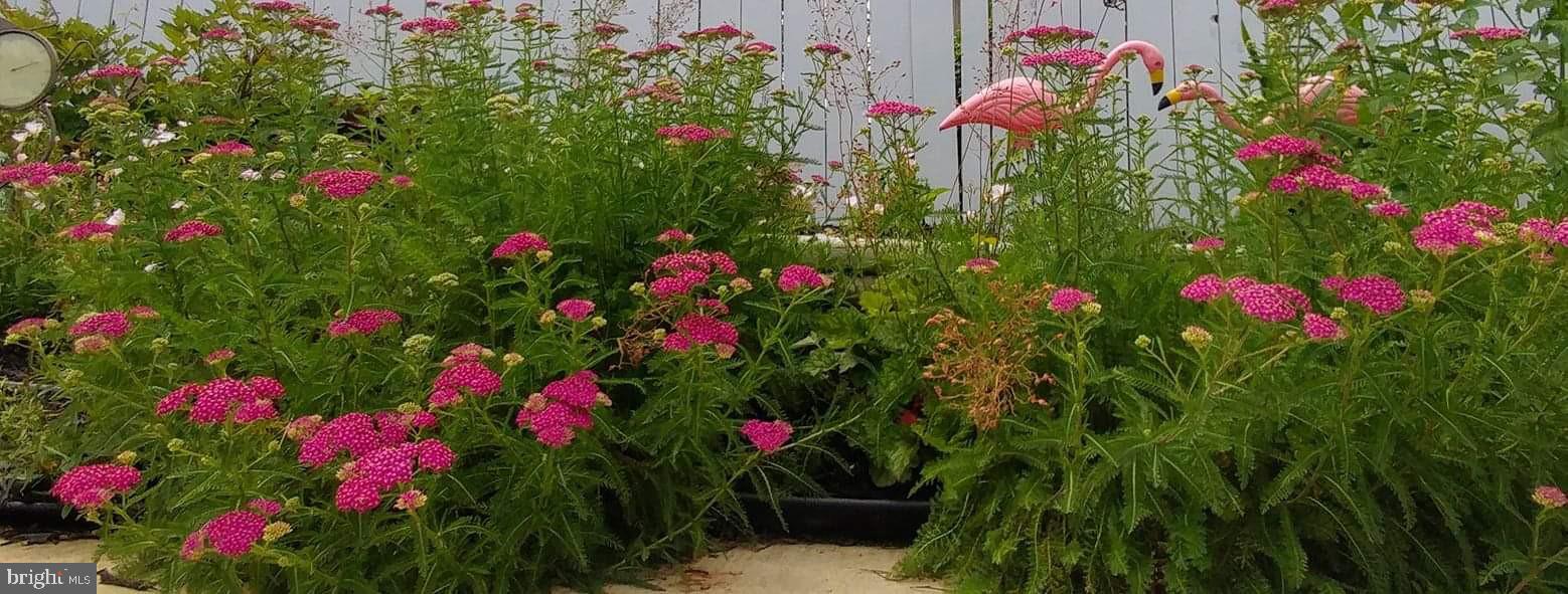 CITY OF MARTINSBURG - Residential