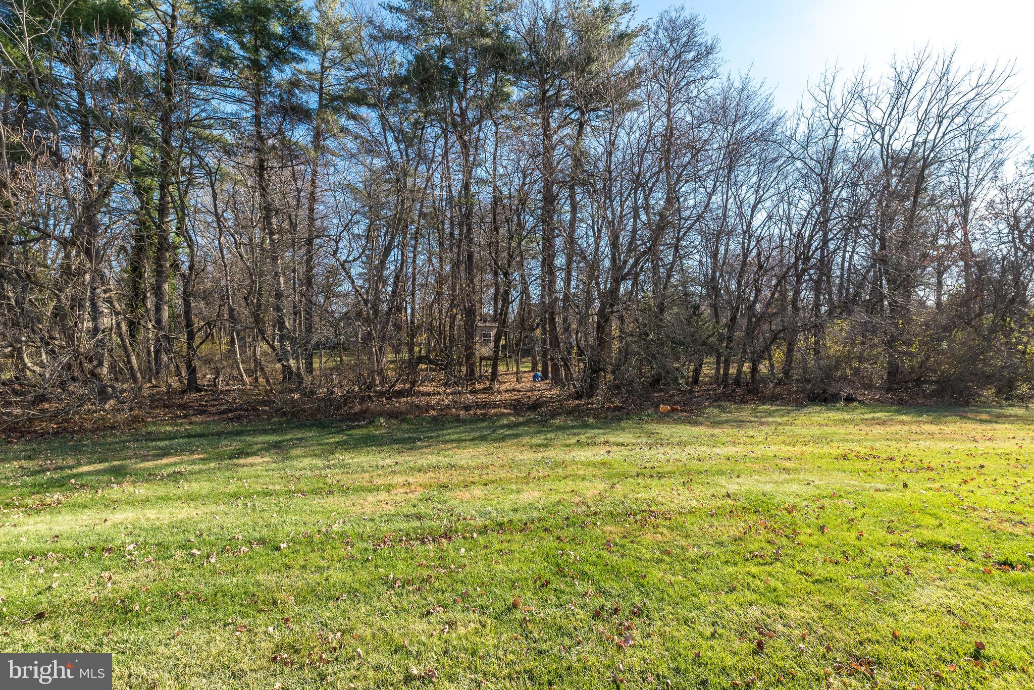 MEADOWS AT LOWER GWYNNED - Residential