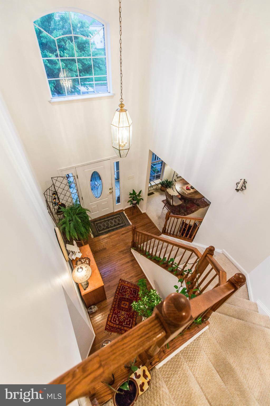 LAKEVIEW OF CULPEPER - Residential