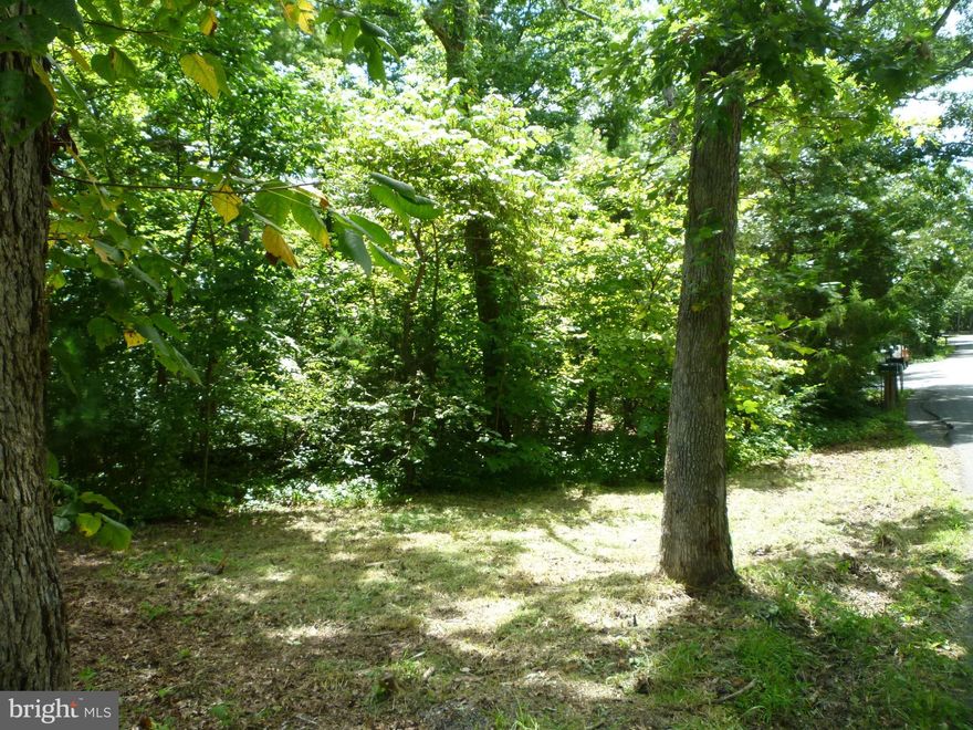 Wooded Lot - Located on State Maintained Road - Nearly Flat for easy build - Located in Bryce Resort. Only a short drive to the activity center. Bryce Resort offers Golf,  Mtn. Biking, Snow Skiing, Tubing, Ice Skating, 46 Acre Lake, Dining & Bar, Hiking Trails, A Small Air Strip . Nearby Music Festivals, Nearby Nat'l Forest and much more...