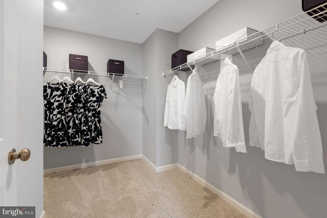 MAGNOLIA SPRINGS - Residential