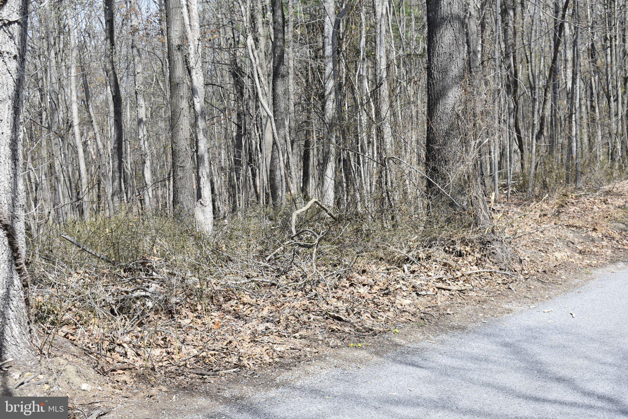 SABLE RUN ROAD