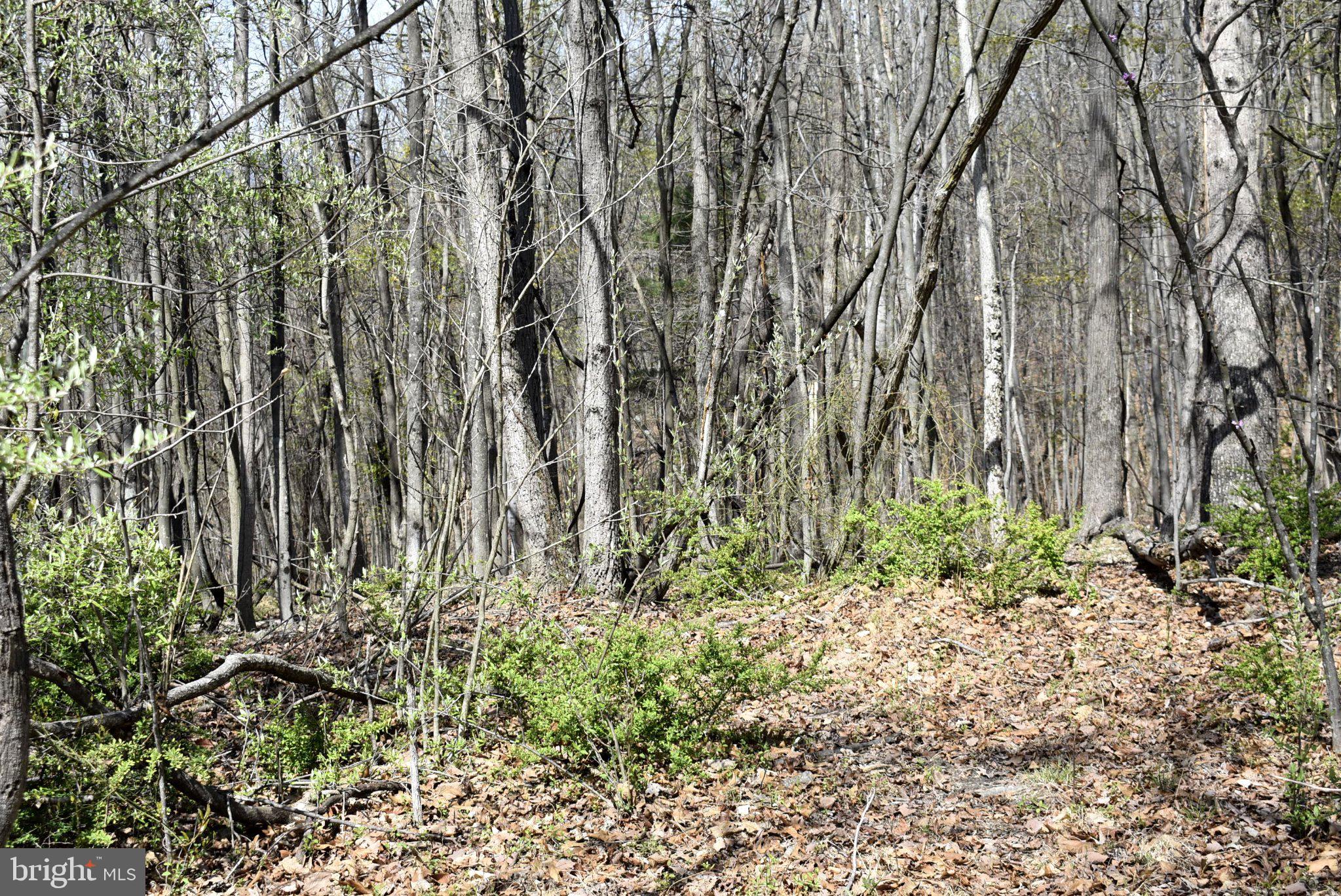 SABLE RUN ROAD