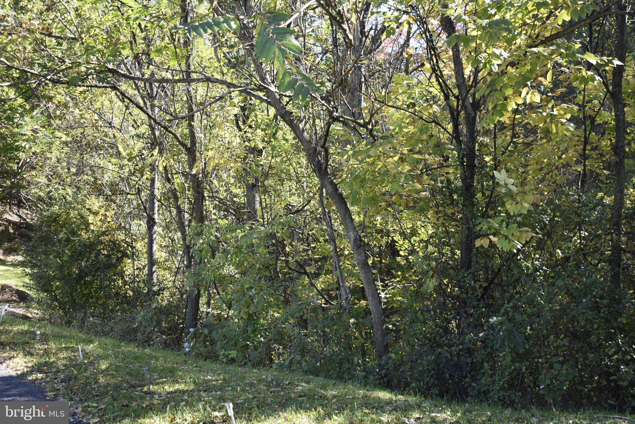 SABLE RUN ROAD
