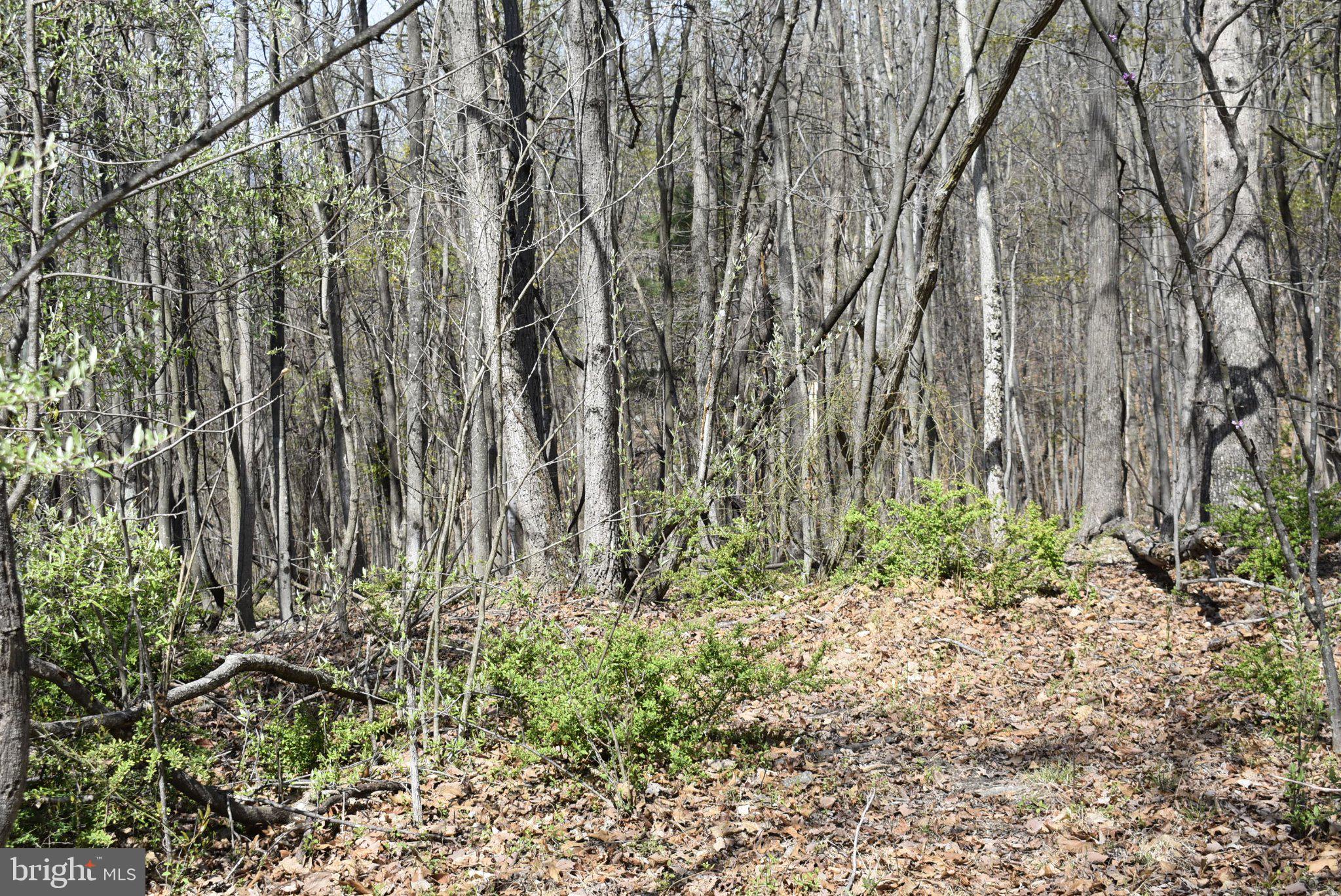SABLE RUN ROAD