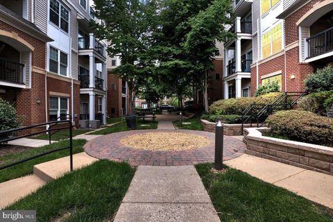 11379 ARISTOTLE DRIVE 10-409 FAIRFAX VA 22030