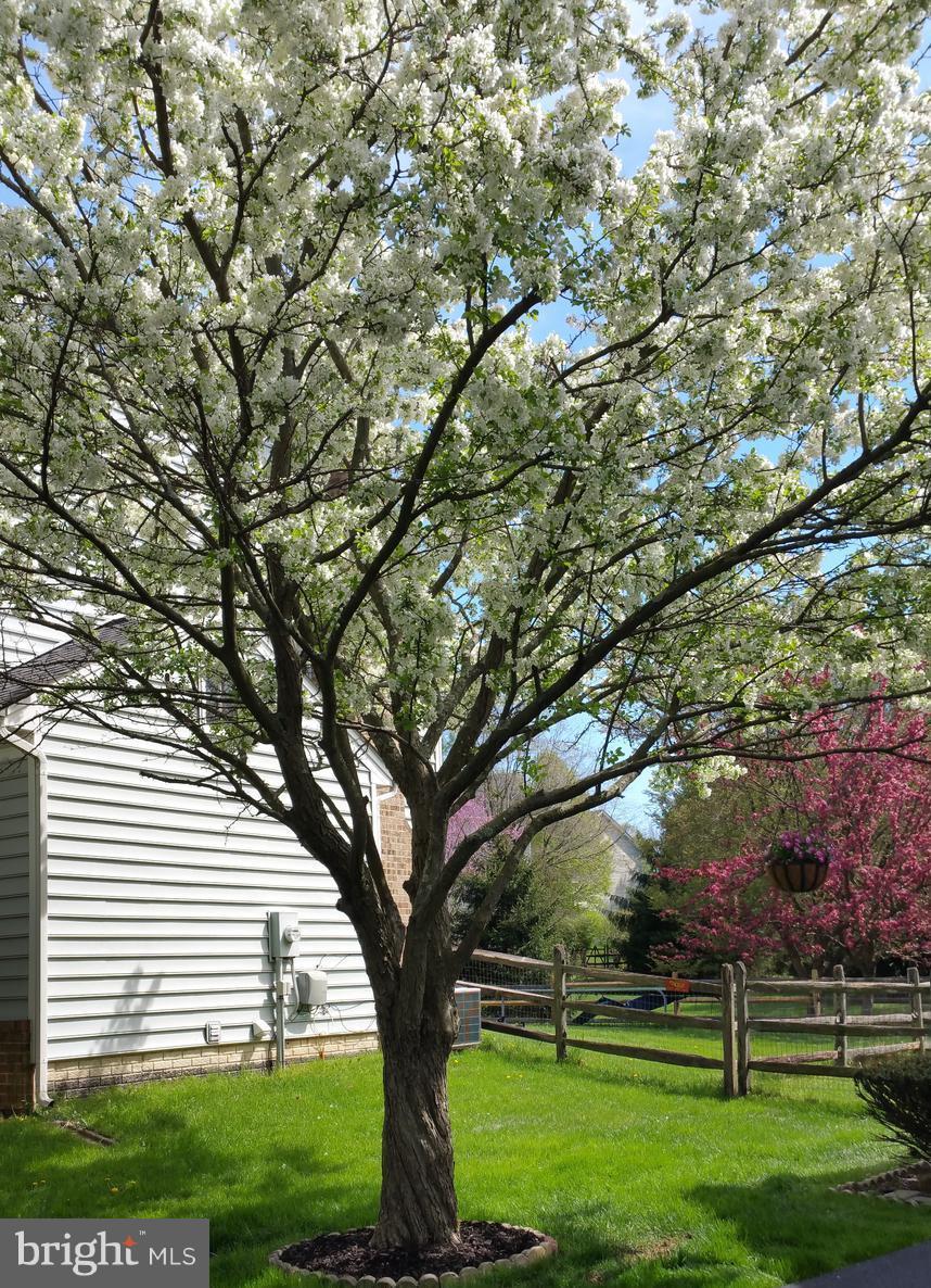 THE DOWNS - MONTG VILL - Residential