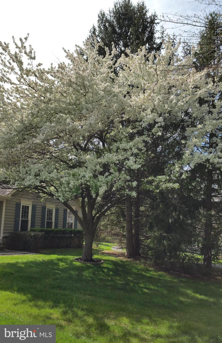 THE DOWNS - MONTG VILL - Residential