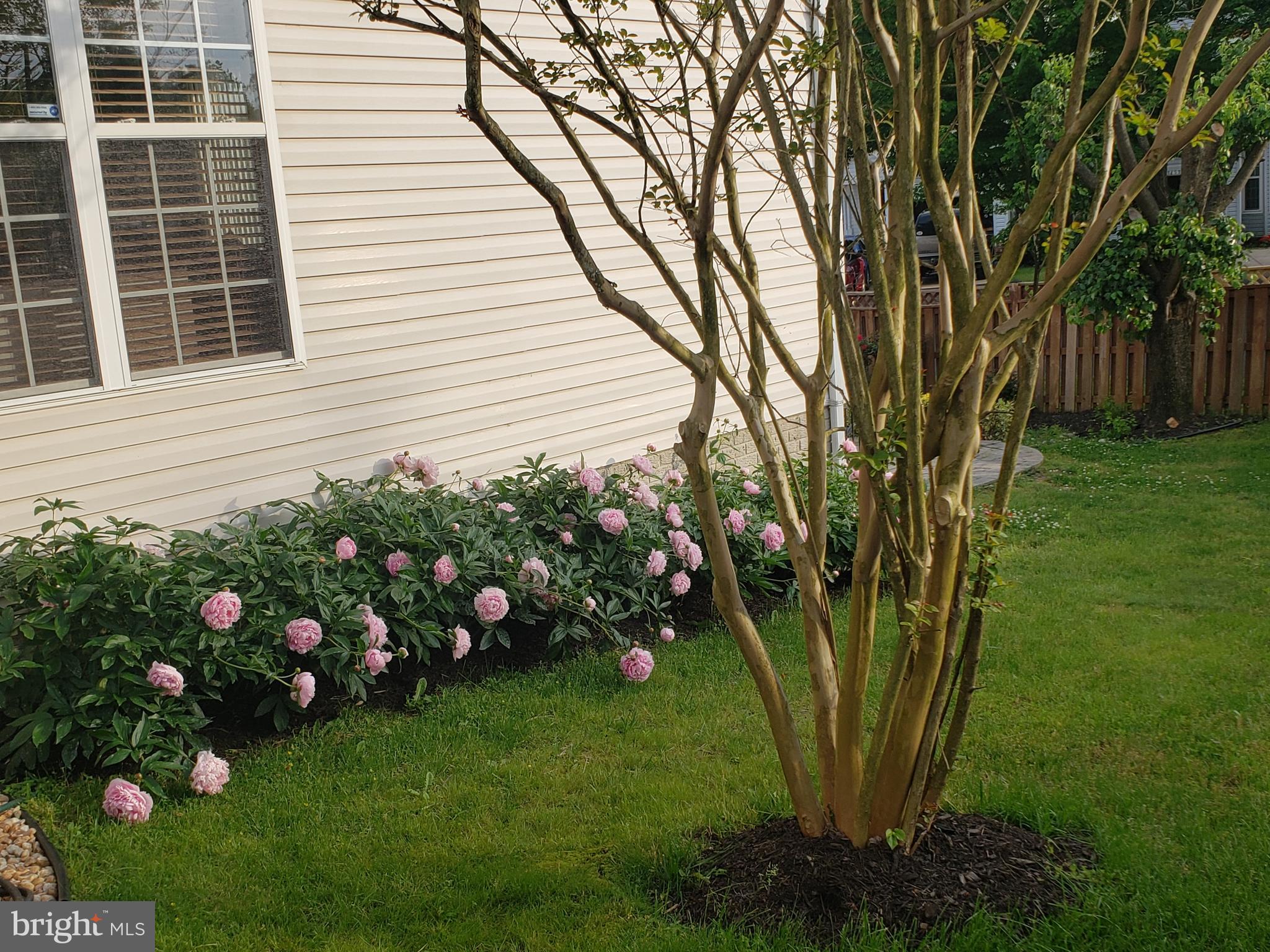 TRENTDALE VILLAGE - Residential Lease