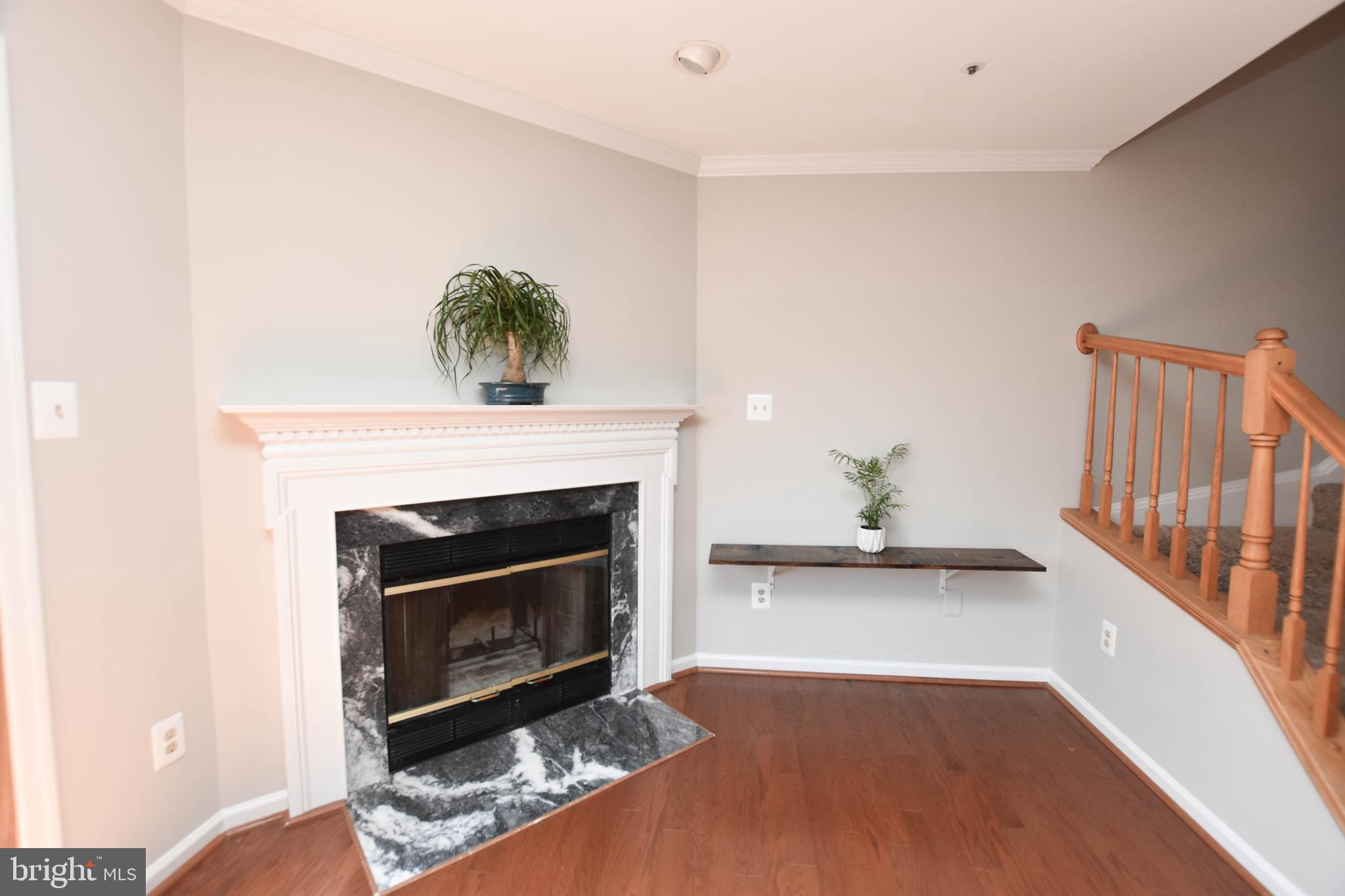 ASHBURN VILLAGE - Residential