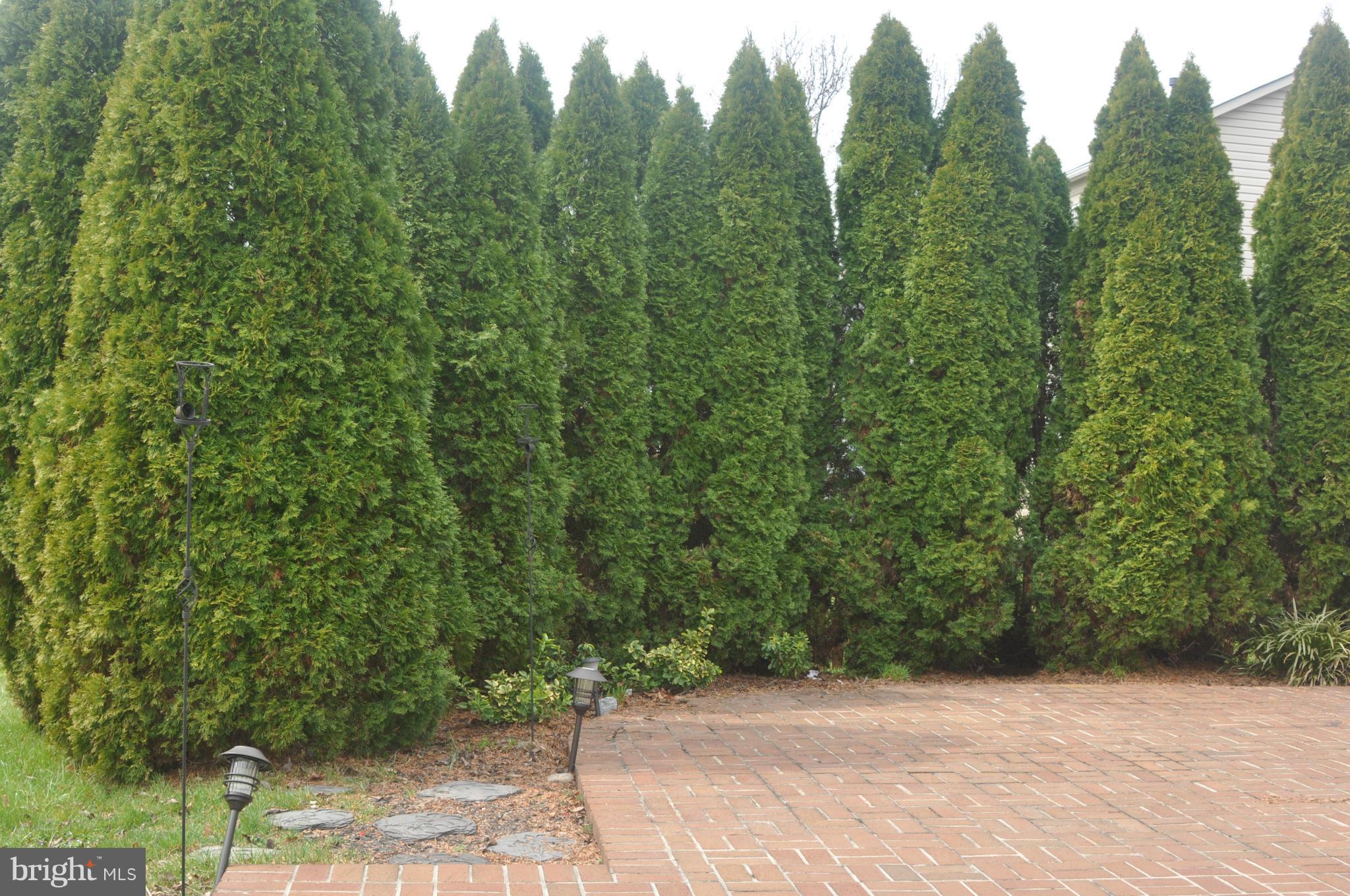 PIONEER HEIGHTS - Residential