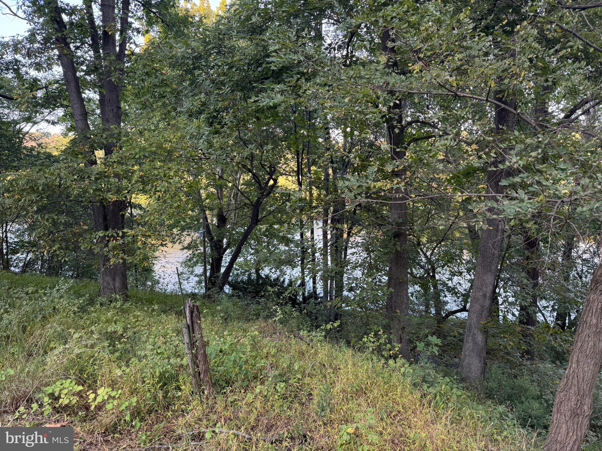 SHEN SHORES - Residential