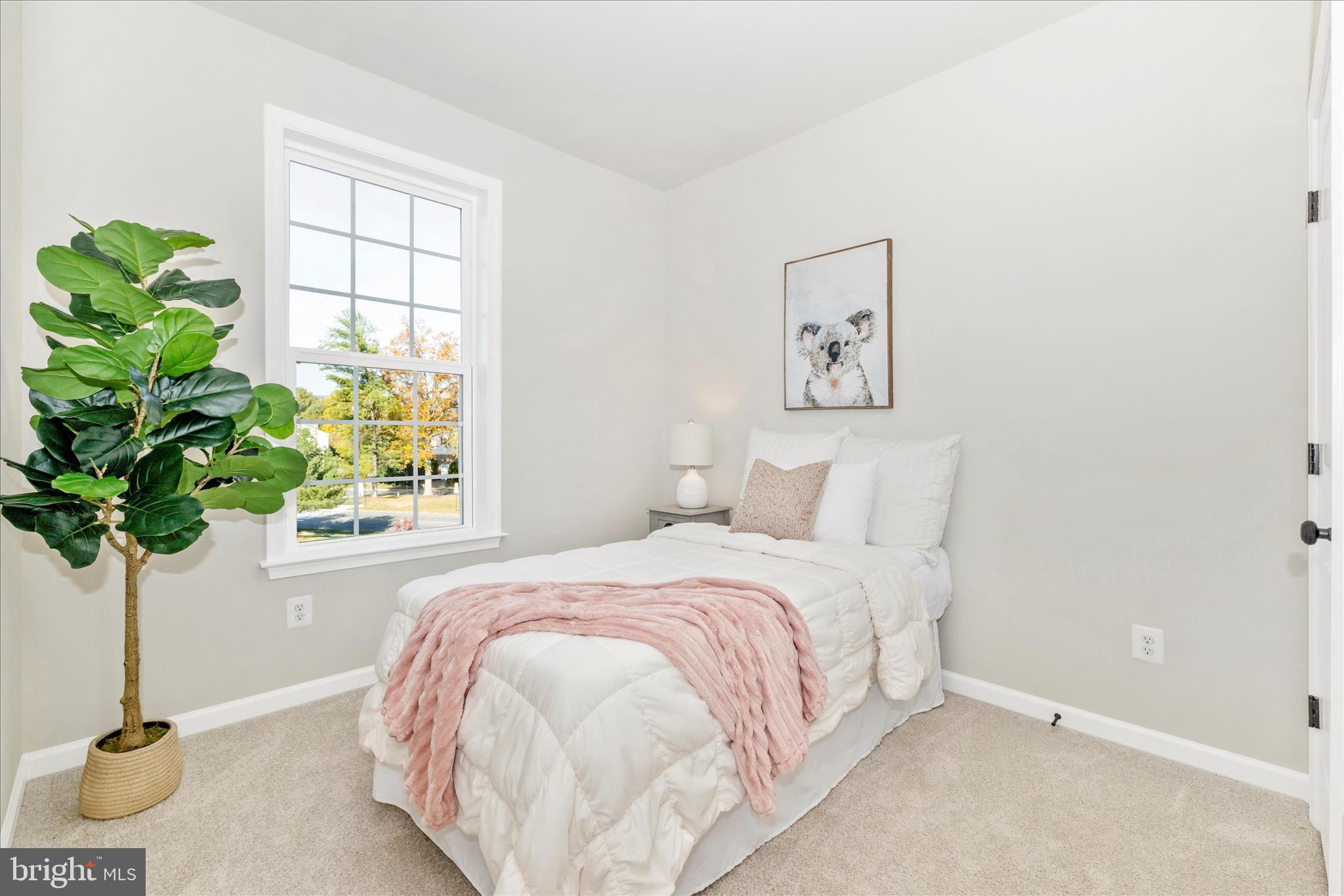 DOWNTOWN FREDERICK - Residential