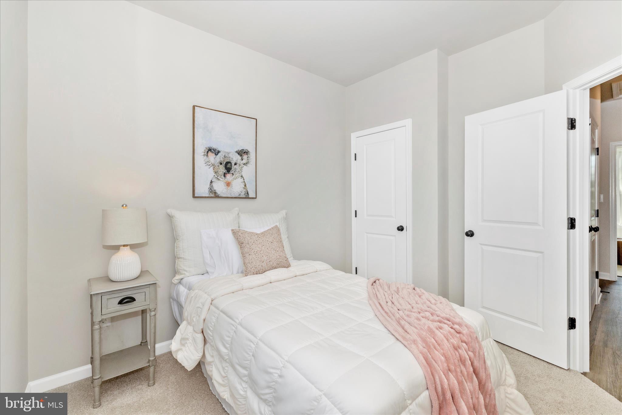 DOWNTOWN FREDERICK - Residential