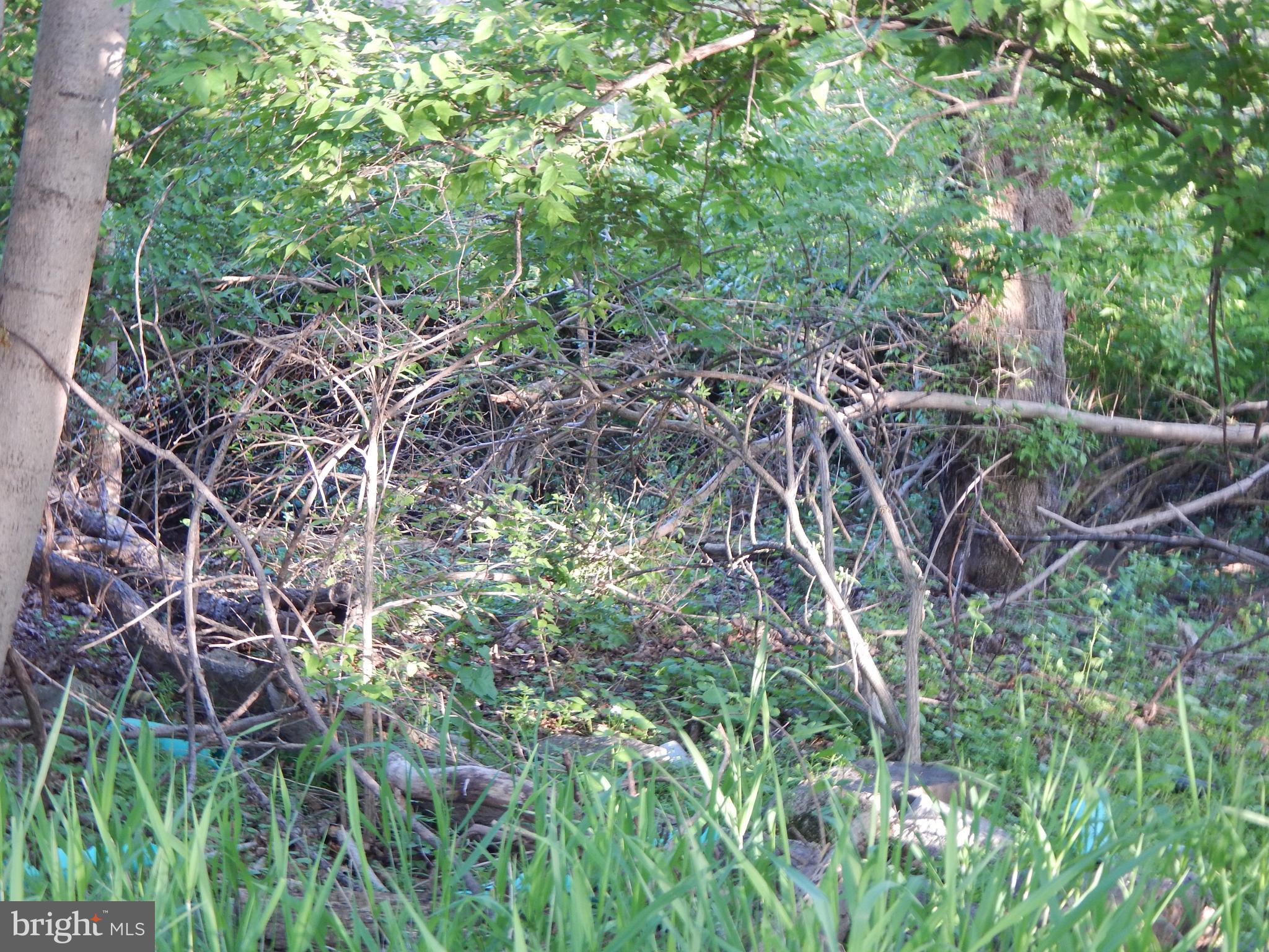 .34 acreage building lot. Lots 91 and 93 are also available, .24,.23 acreage. Build single family homes or townhomes, Villas, Rental properties. Available hookup for public water and sewer. All three lots can be purchase for $173,130.43. Sellers are motivated!
Convenient to shopping, doctors, hospital, parks and Marc train.