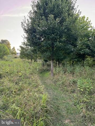 DANIEL'S MILL OVERLOOK - Residential