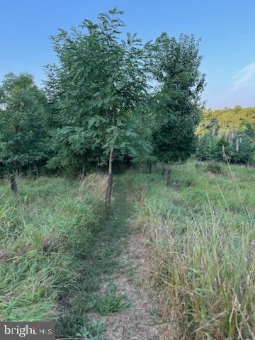 DANIEL'S MILL OVERLOOK - Residential