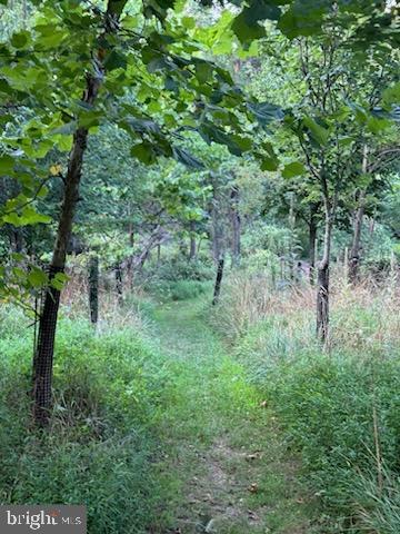 DANIEL'S MILL OVERLOOK - Residential