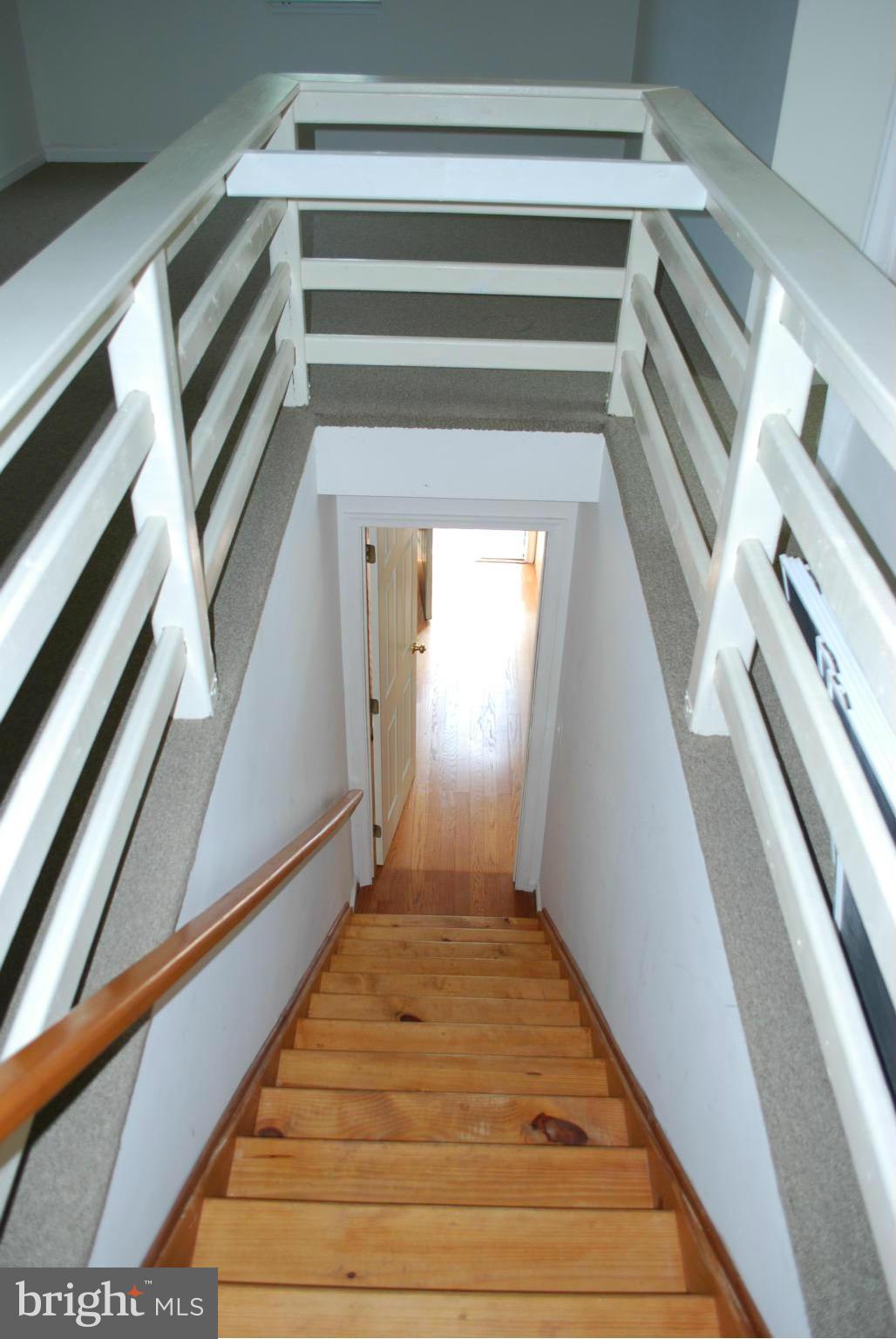 COBB ISLAND - Residential