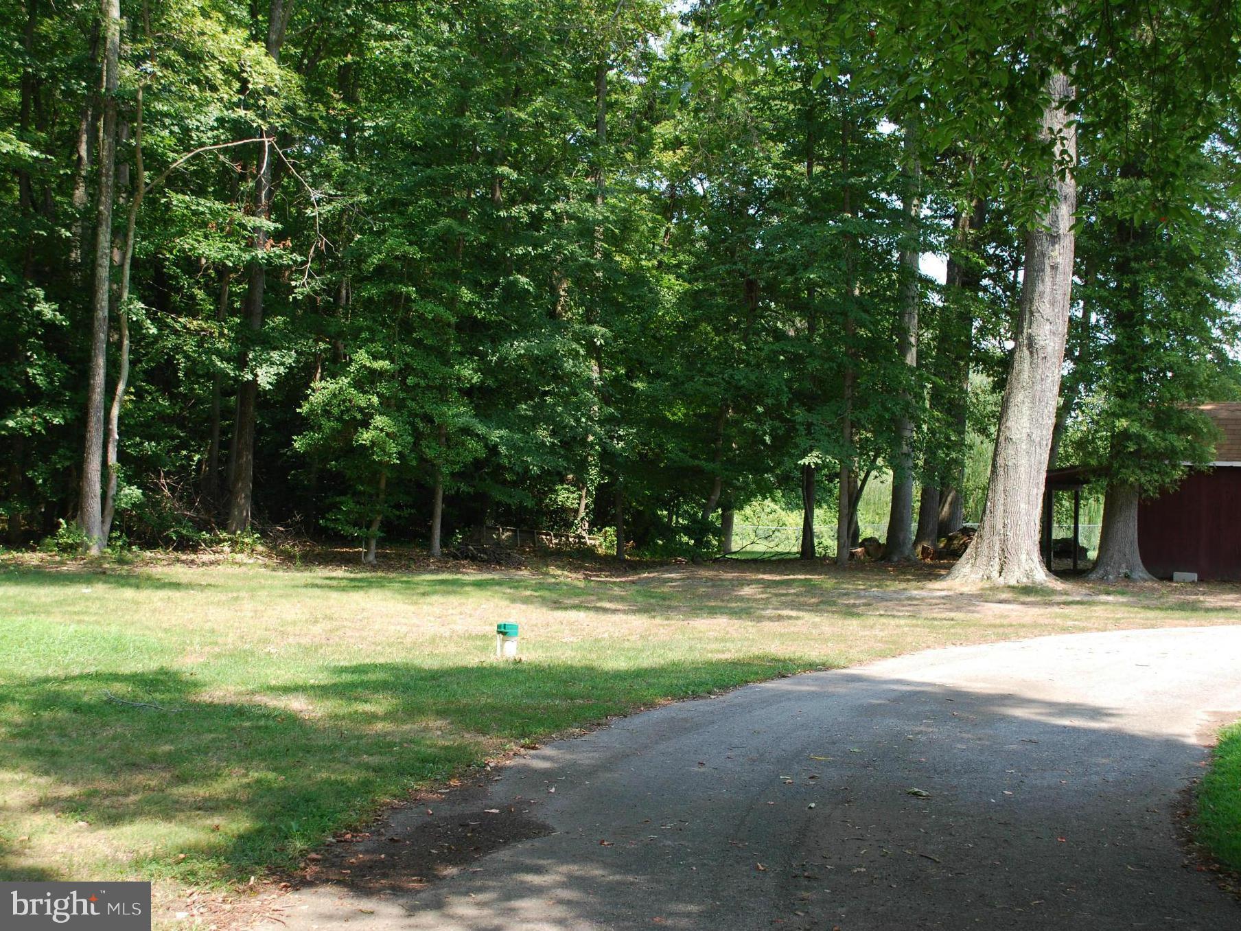 COBB ISLAND - Residential