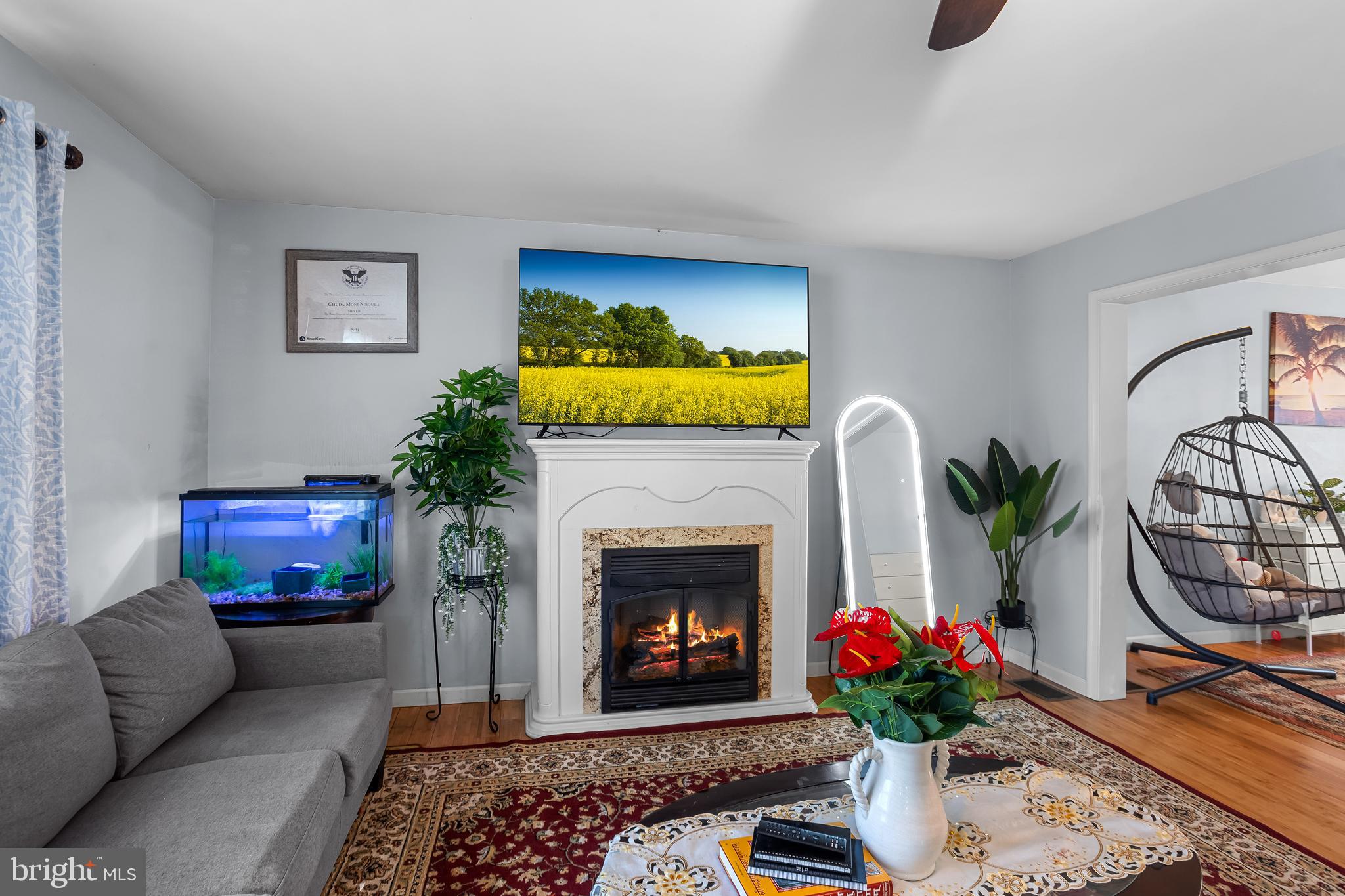 OLDE SOUTH CROSSING - Residential