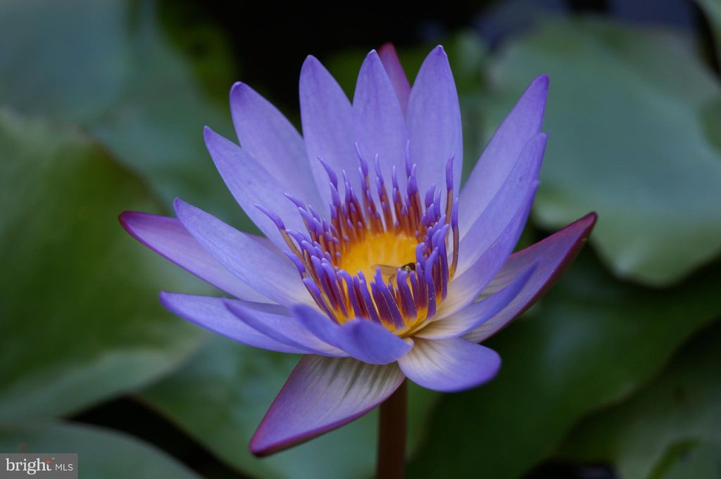 Photo of 700 Res Demo Example Drive, OTHER, NA (MLS # OTOT2006284)