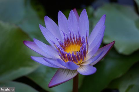 Photo of 700 Res Demo Example Drive, OTHER, NA (MLS # OTOT2006284) Photo of 700 Res Demo Example Drive, OTHER, NA (MLS # OTOT2006284)