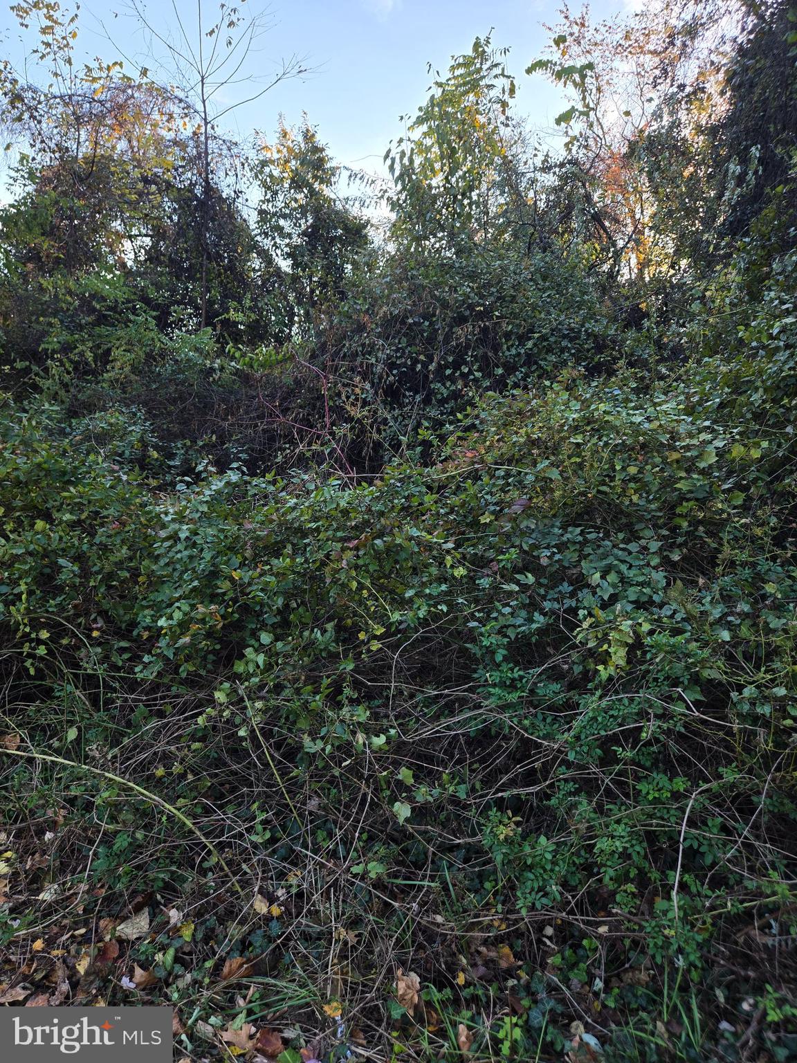 8824 OLD LAUREL BOWIE ROAD