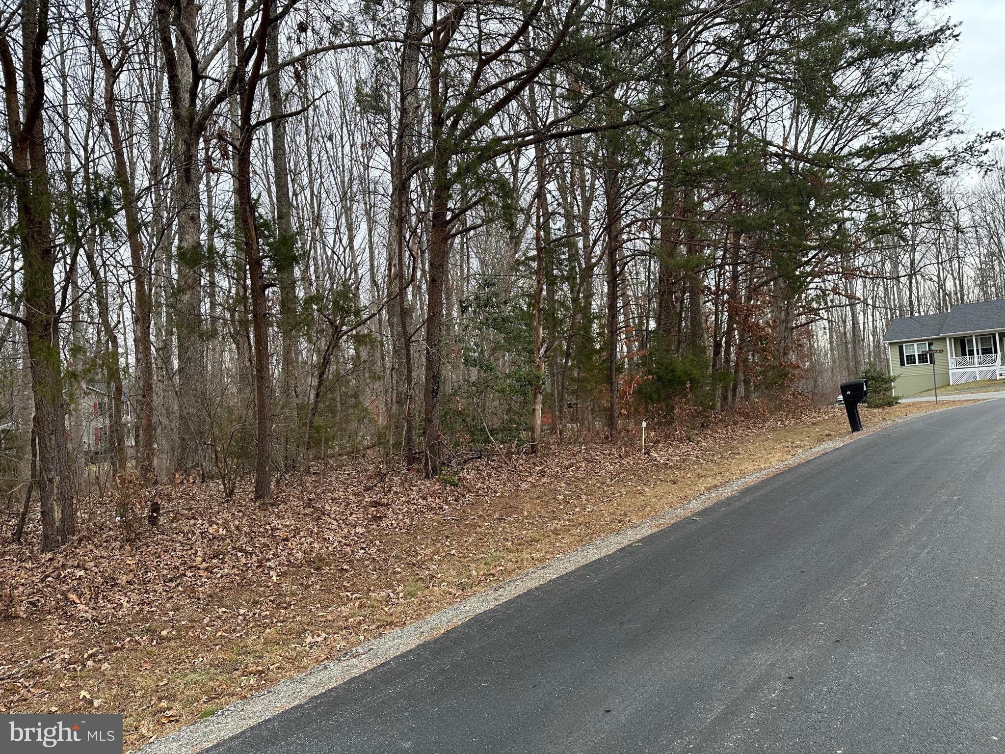 BLUE RIDGE SHORES - Residential