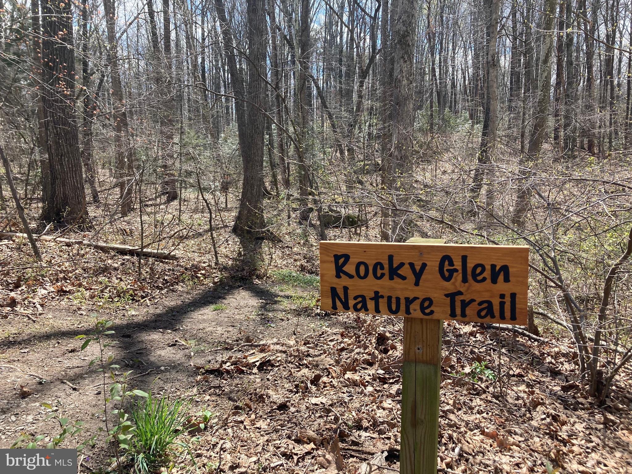 BLUE RIDGE SHORES - Residential