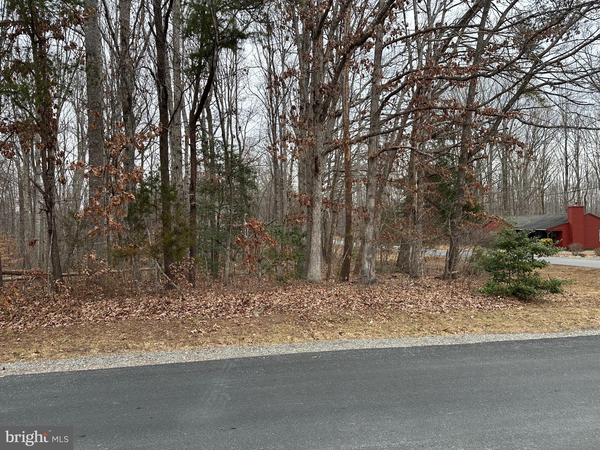 BLUE RIDGE SHORES - Residential