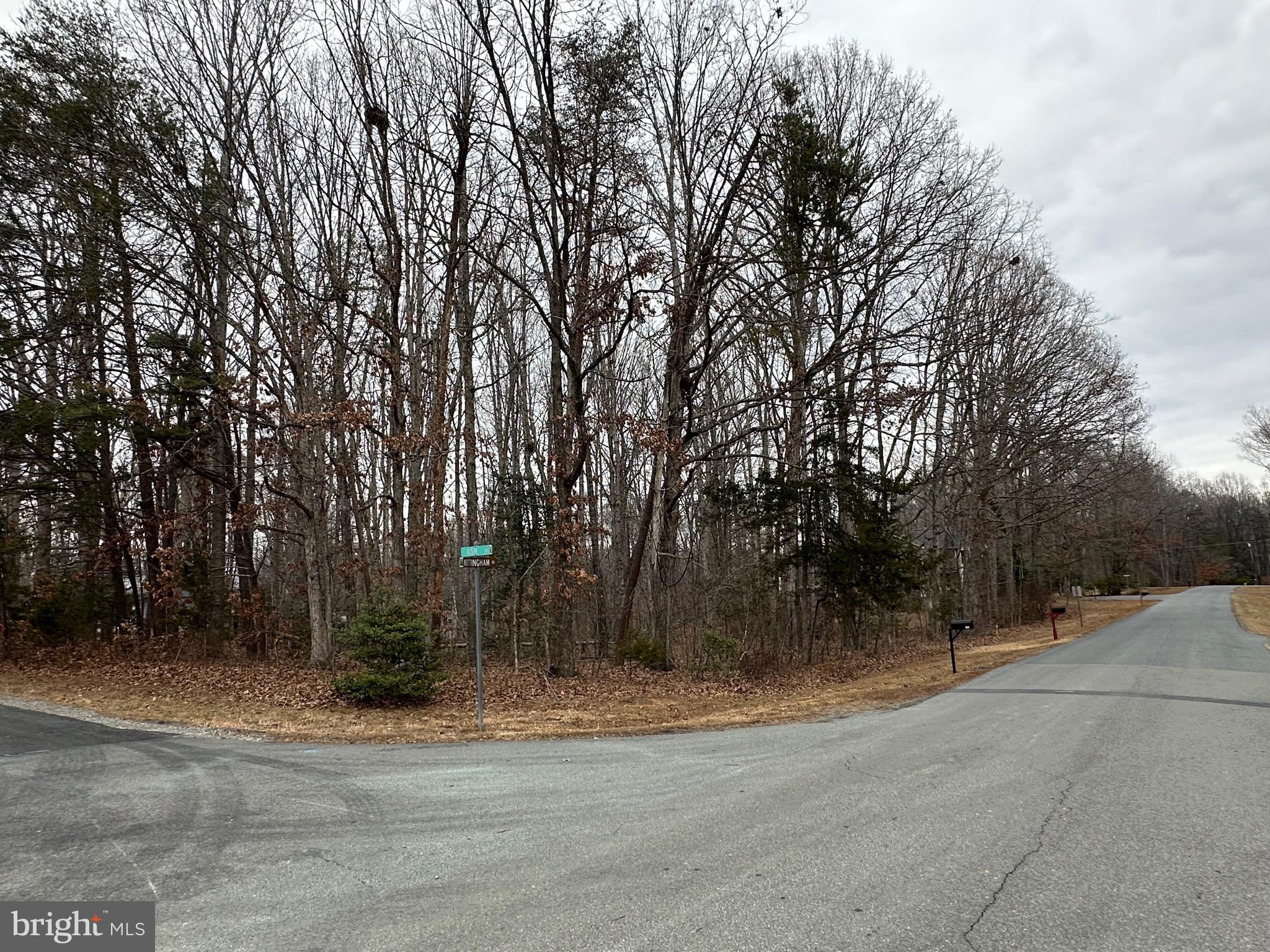 BLUE RIDGE SHORES - Residential