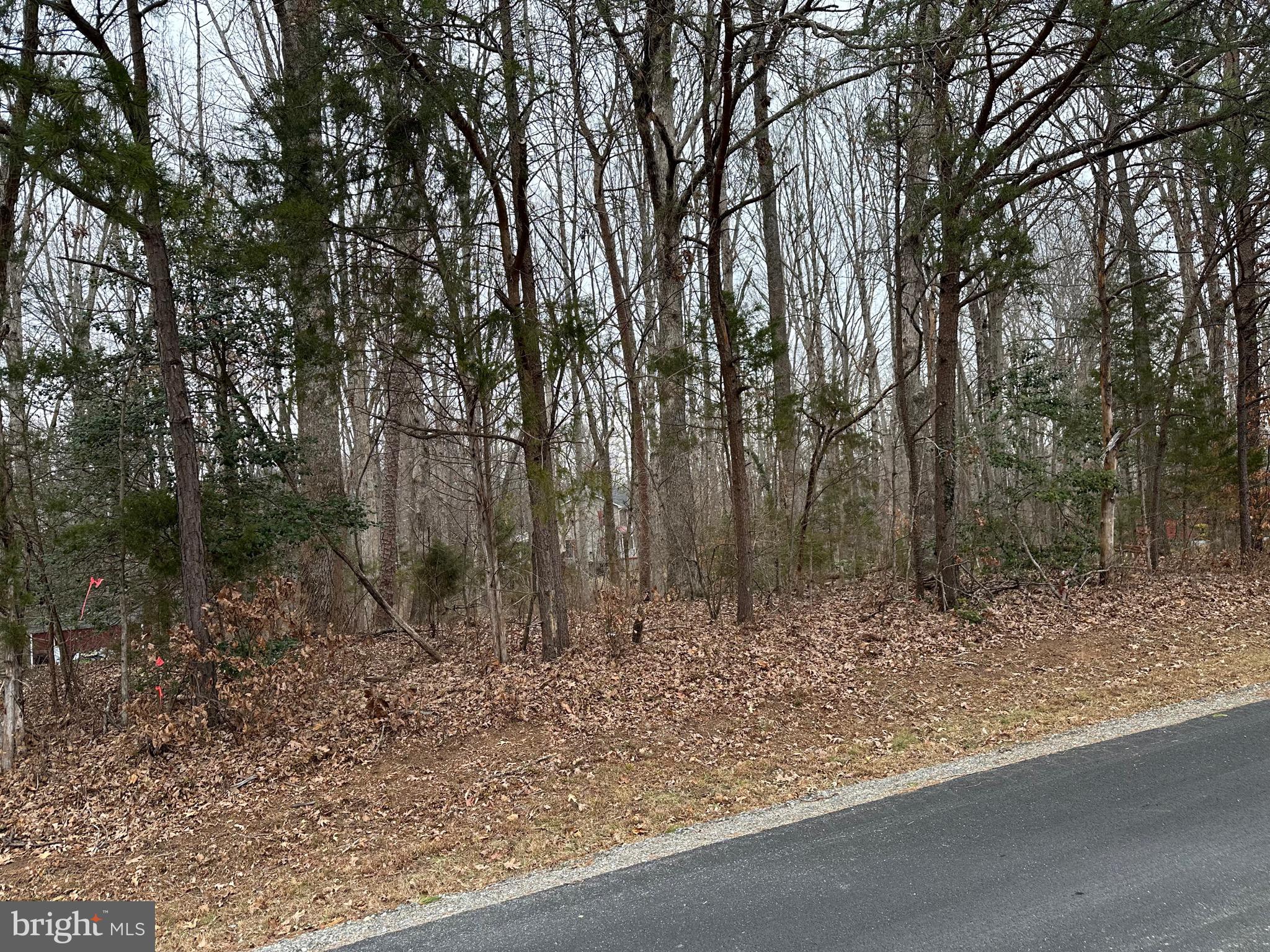 BLUE RIDGE SHORES - Residential