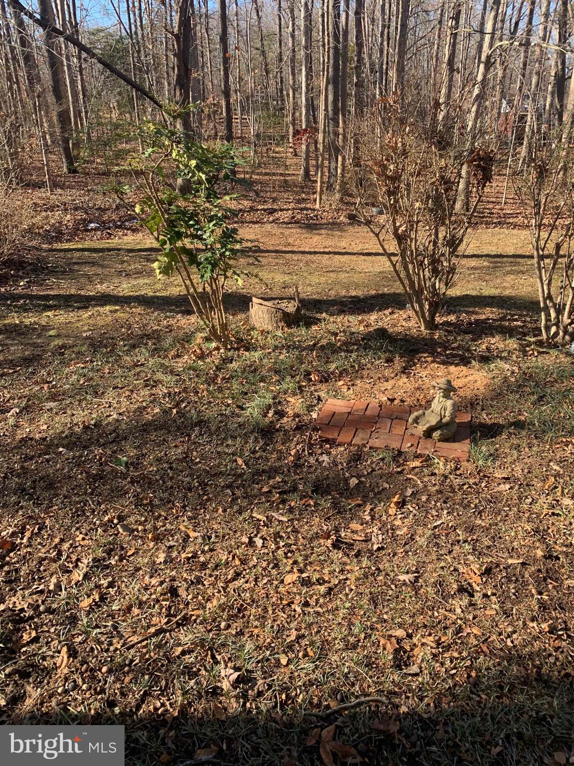 BLUE RIDGE SHORES - Residential