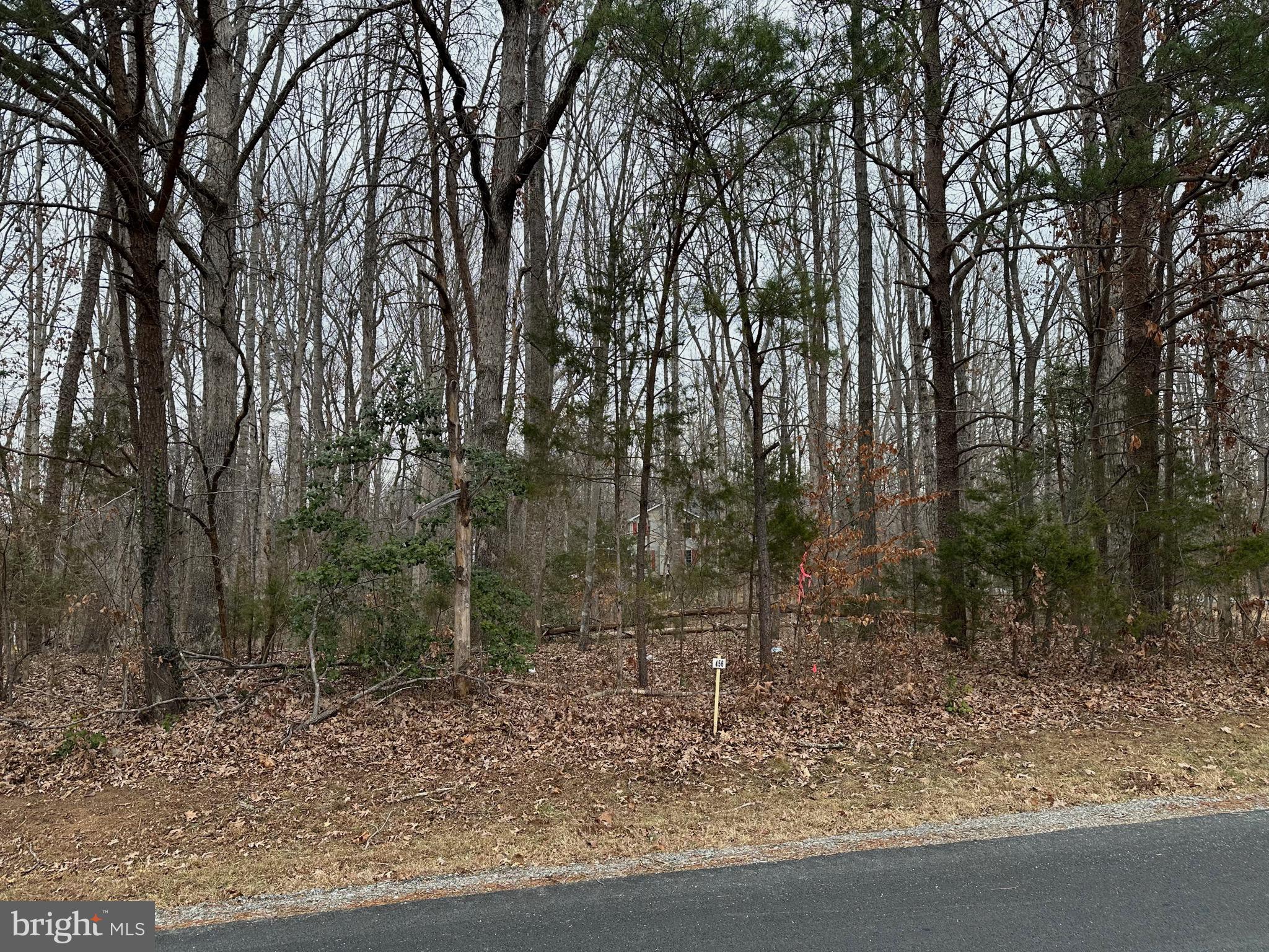 BLUE RIDGE SHORES - Residential