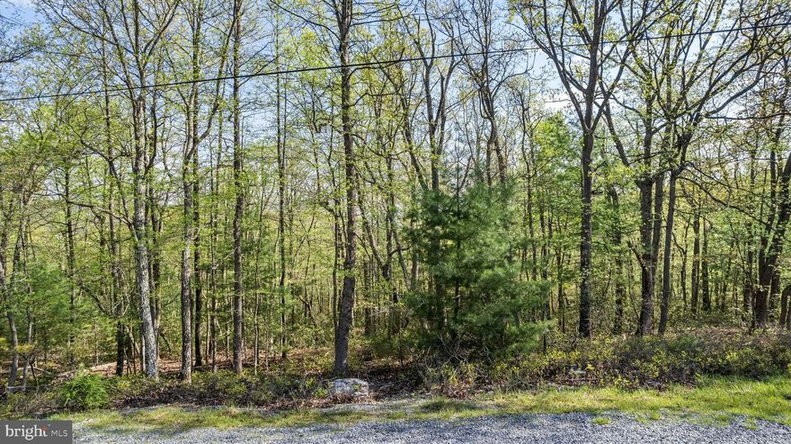Looking for the perfect spot to build your dream home? Well this is a buildable lot! This 1.9-acre wooded lot in Biglerville offers a rare opportunity to create your own private retreat, right up against the stunning backdrop of Michaux State Forest. Enjoy peace, privacy, and direct access to nature with thousands of acres of forest just beyond your backyard.

Whether you’re looking to build now or hold onto a special piece of land for the future, this lot is a great find. Surrounded by mature trees and natural beauty, it’s the kind of setting that’s hard to come by — and even harder to forget.