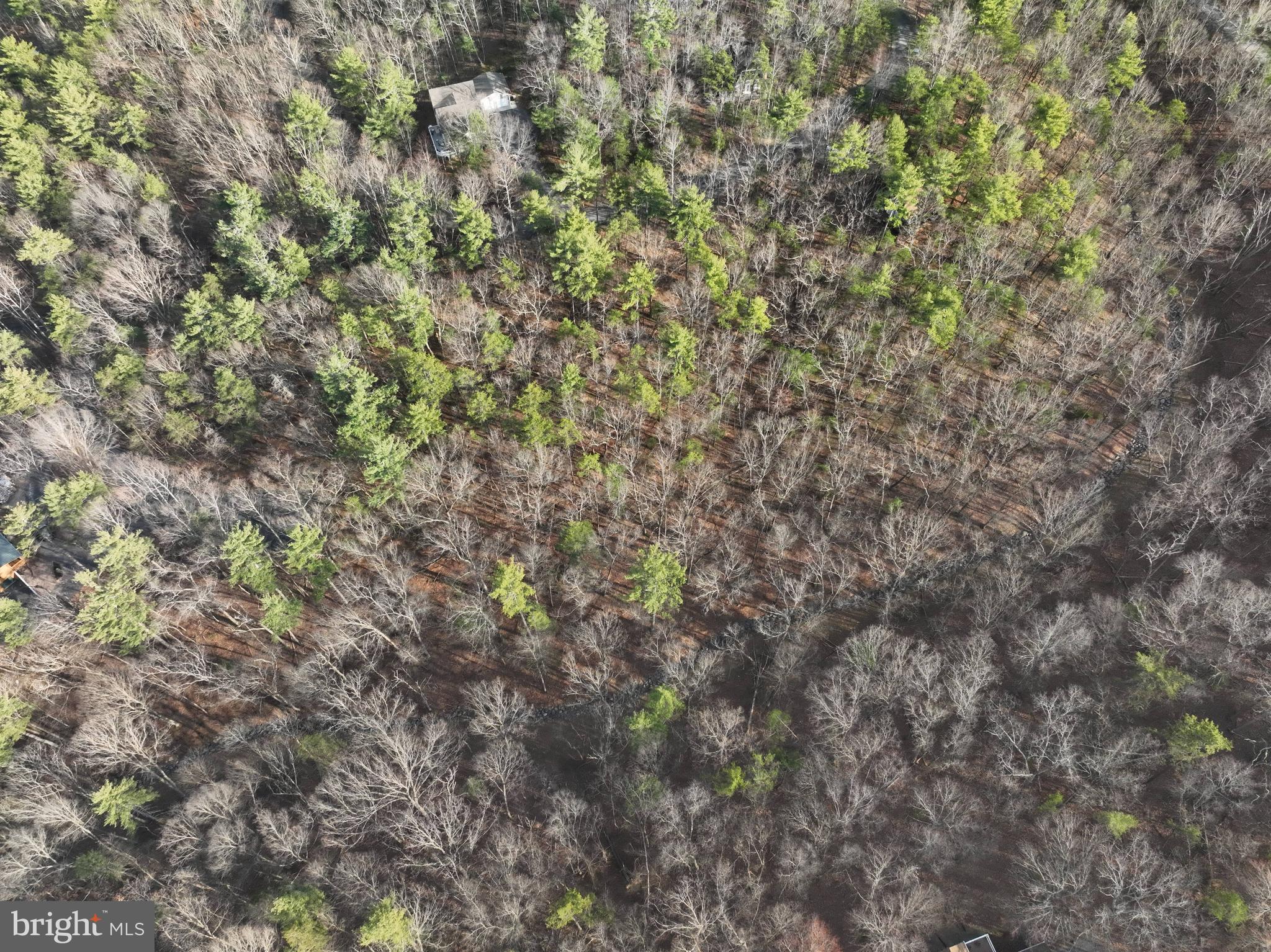 BRYCE MOUNTAIN - Land