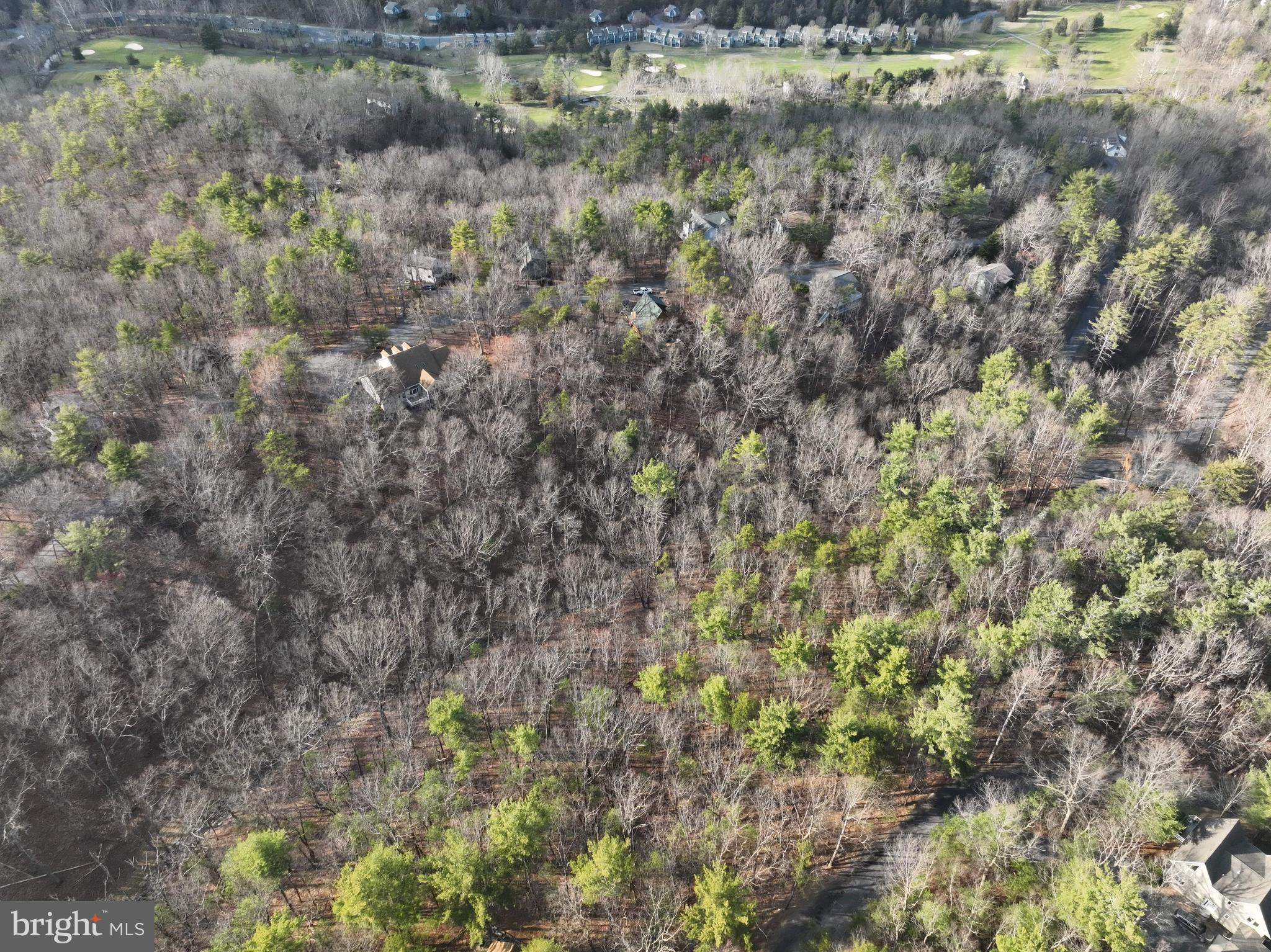 BRYCE MOUNTAIN - Land