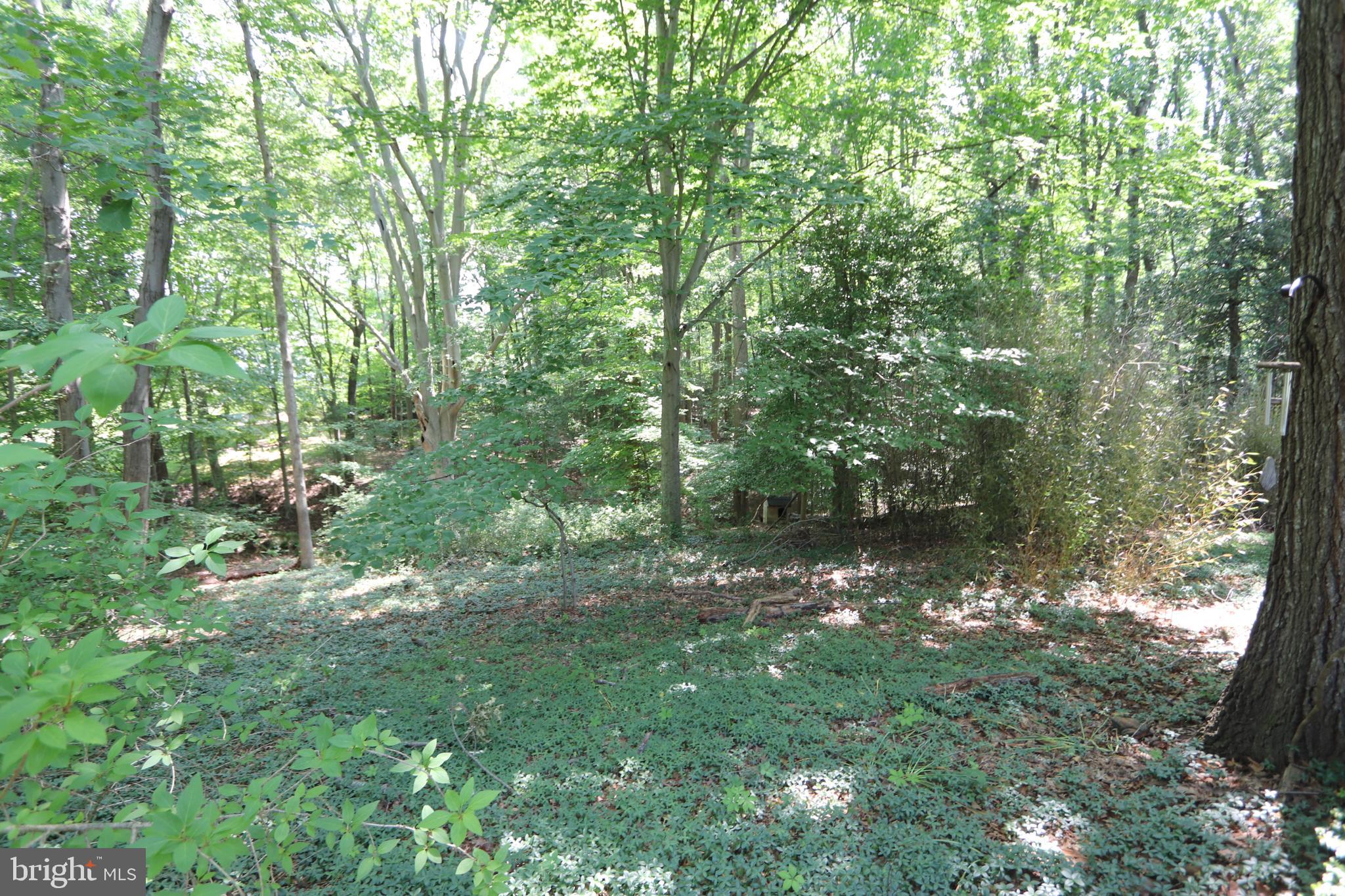 PORT TOBACCO RIV SUB - Residential