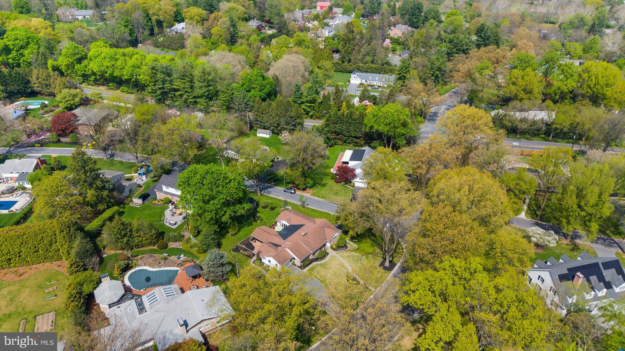 BIRDLAND - Residential