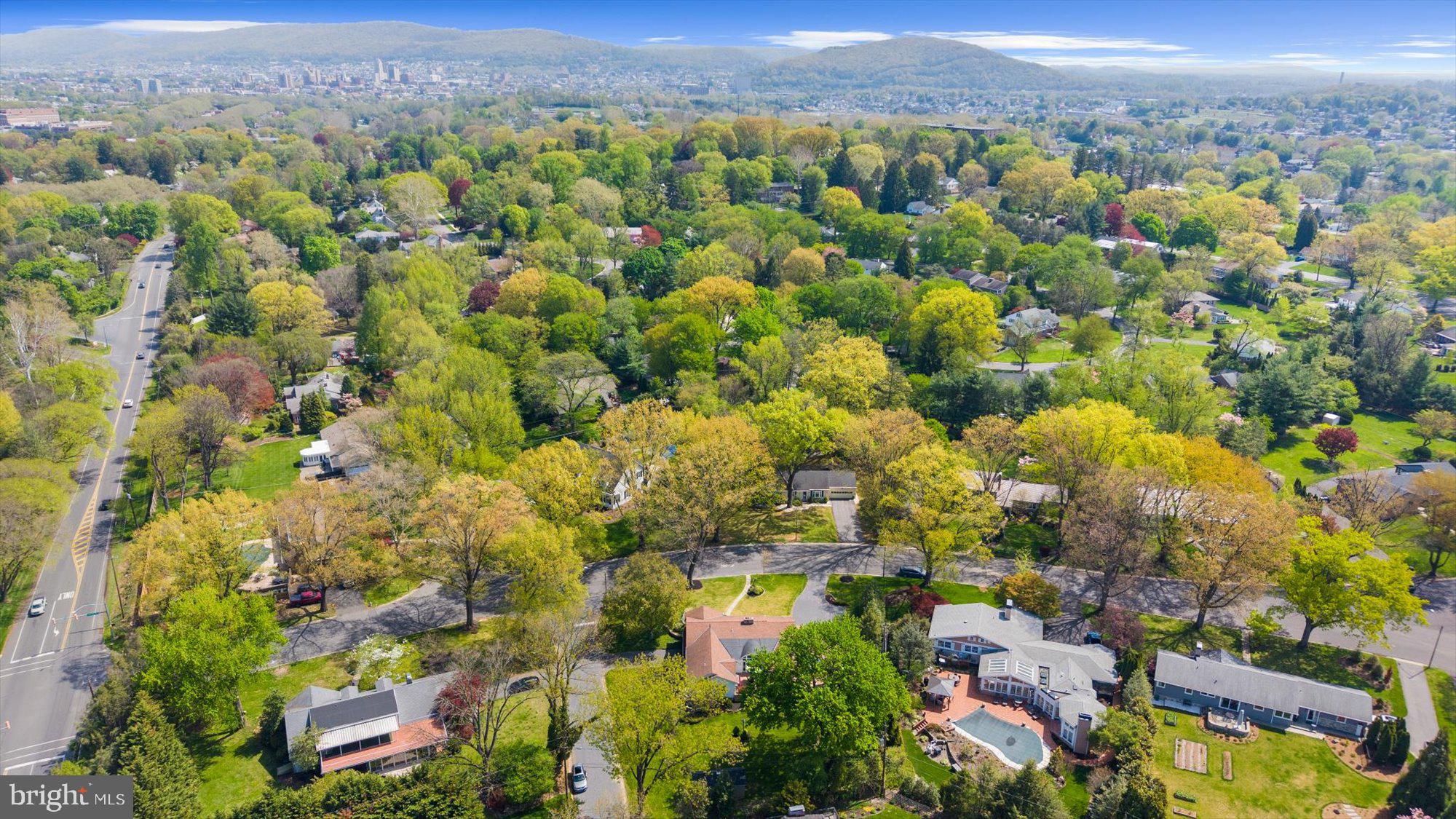 BIRDLAND - Residential