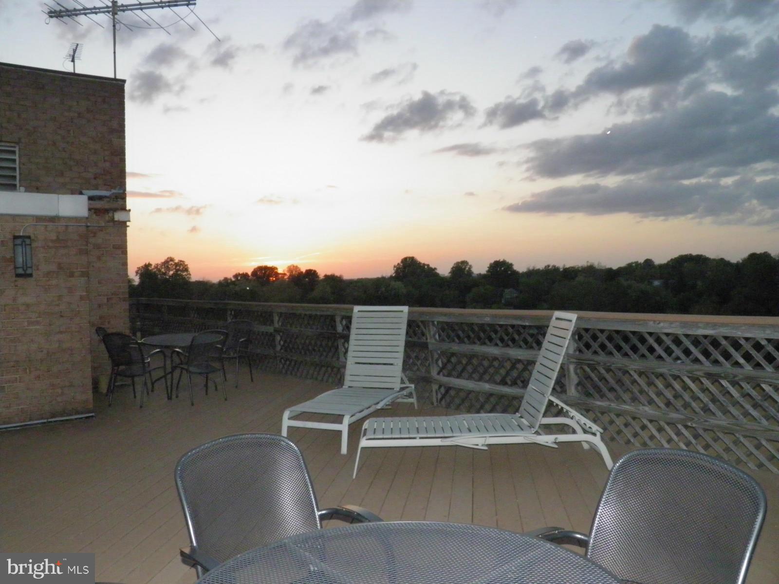 PARK SUTTON CODM - Residential Lease