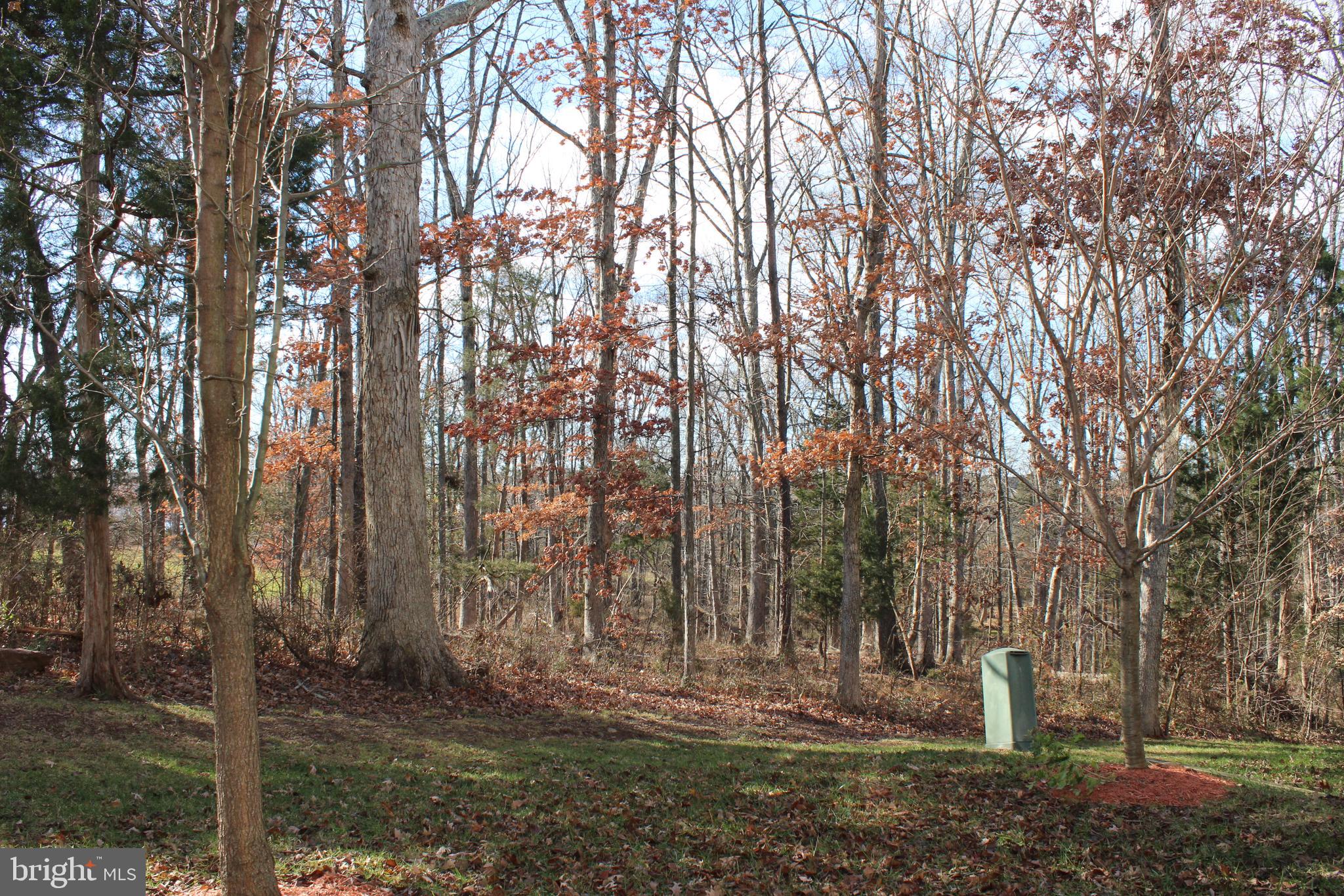 INDEPENDENCE - Residential Lease